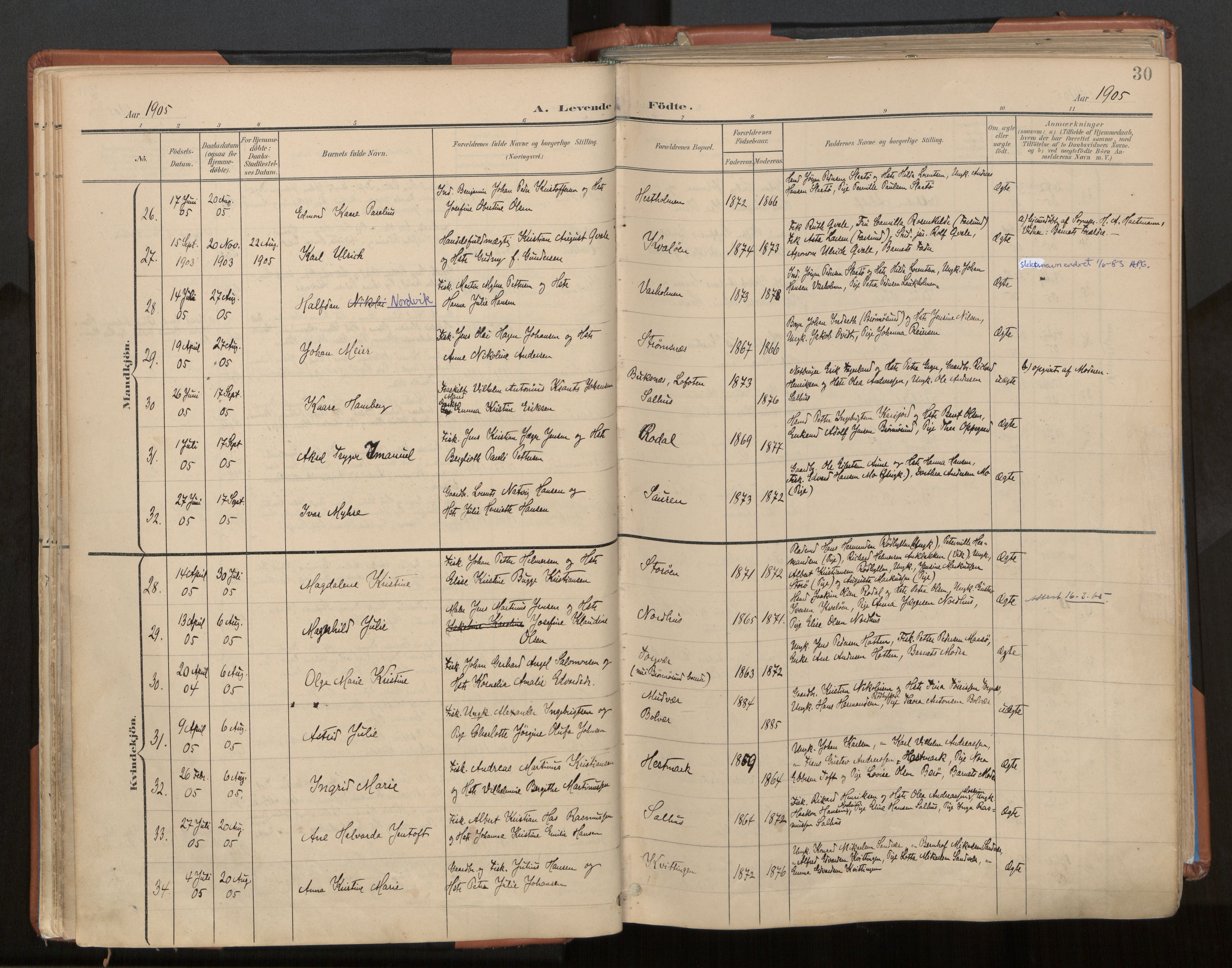 Ministerialprotokoller, klokkerbøker og fødselsregistre - Nordland, AV/SAT-A-1459/813/L0201: Ministerialbok nr. 813A11, 1901-1918, s. 30