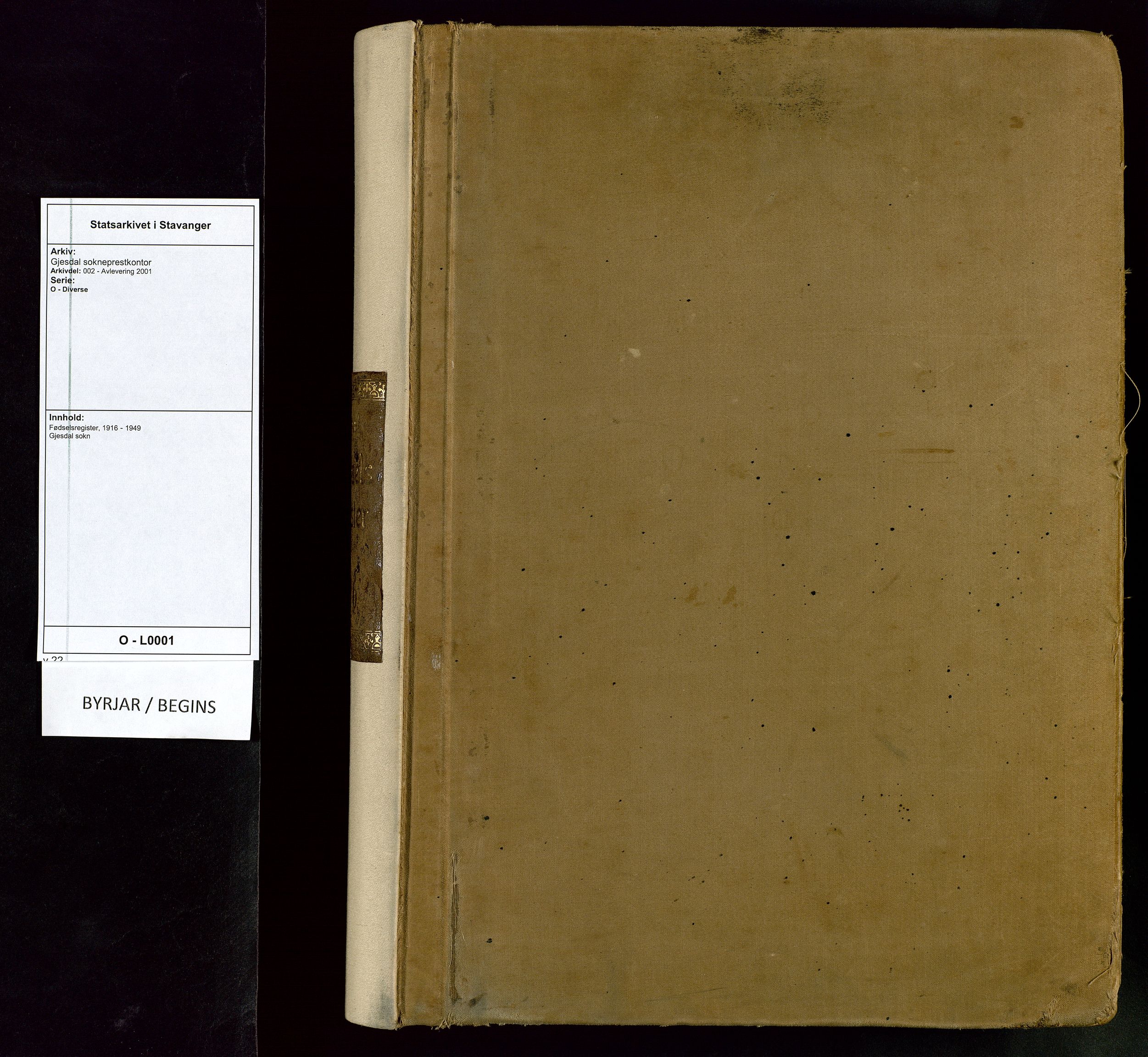 Gjesdal sokneprestkontor, SAST/A-101796/002/O/L0001: Fødselsregister nr. 1, 1916-1949