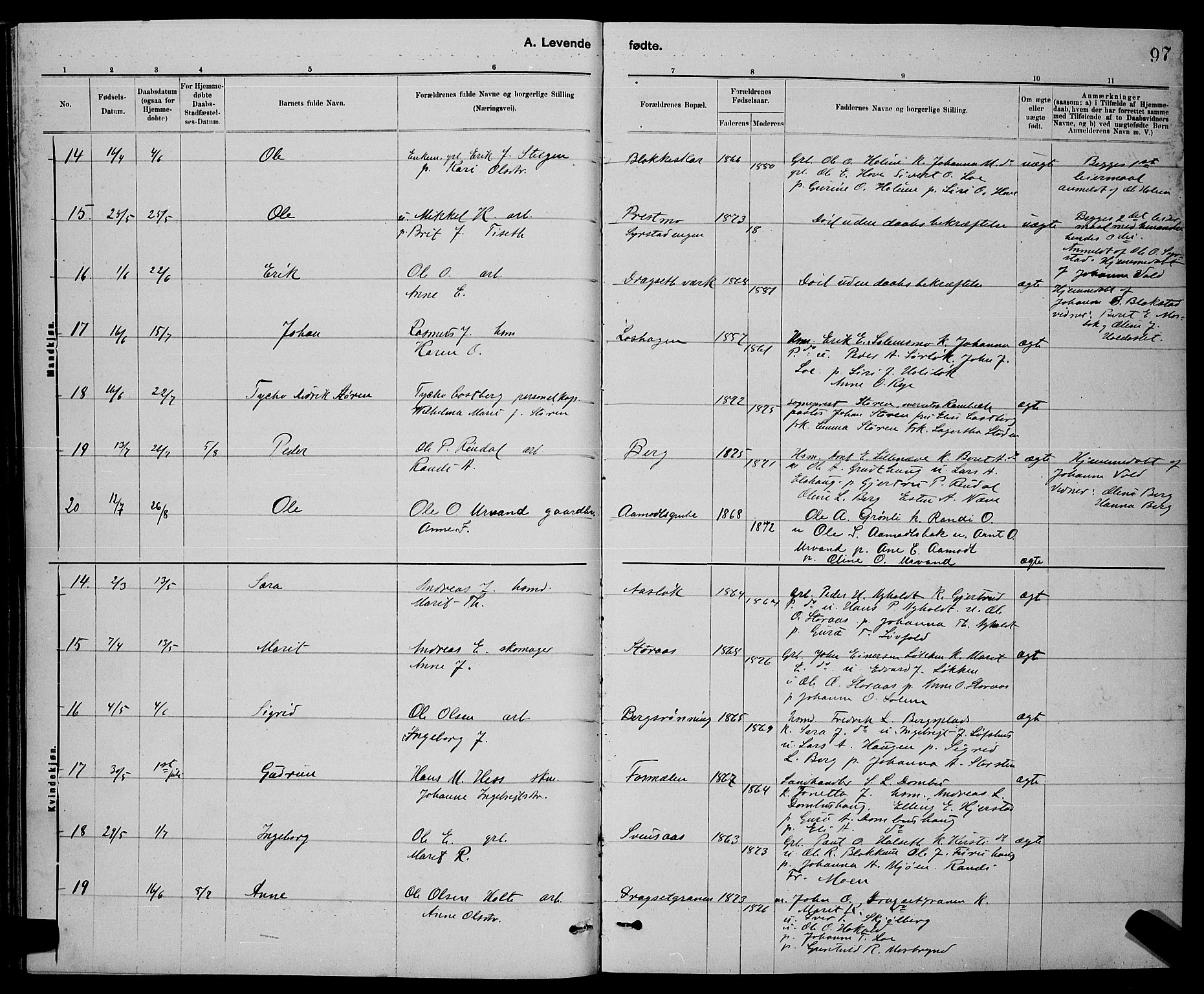 Ministerialprotokoller, klokkerbøker og fødselsregistre - Sør-Trøndelag, AV/SAT-A-1456/672/L0863: Klokkerbok nr. 672C02, 1888-1901, s. 97