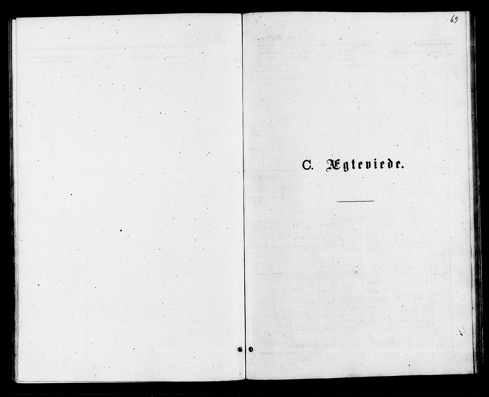 Røyken kirkebøker, AV/SAKO-A-241/F/Fa/L0007: Ministerialbok nr. 7, 1876-1879, s. 63
