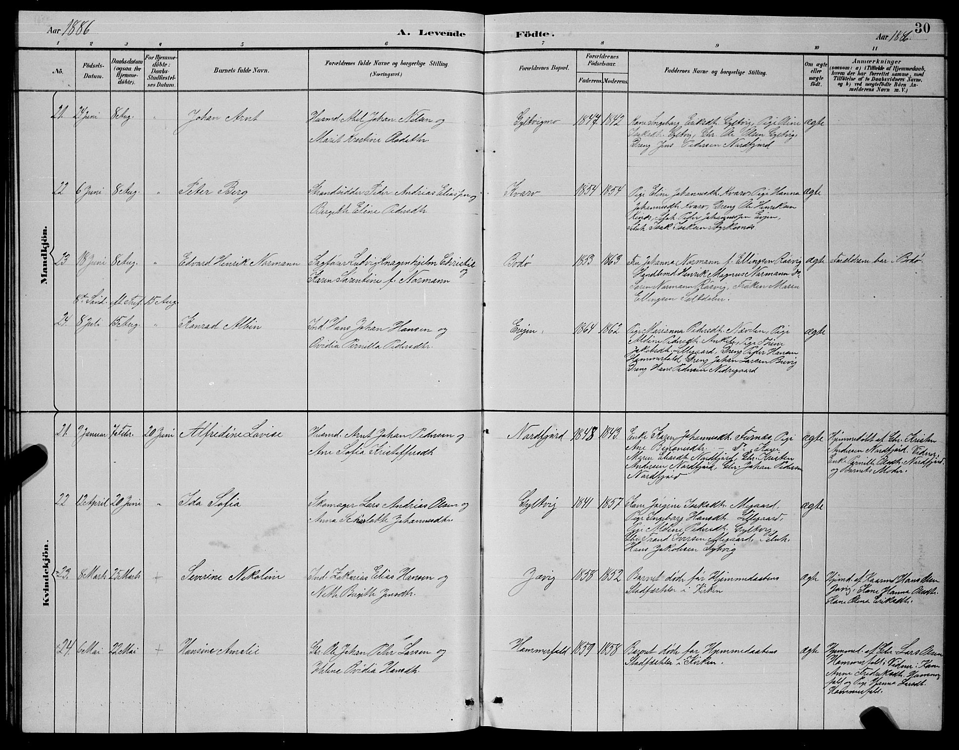 Ministerialprotokoller, klokkerbøker og fødselsregistre - Nordland, SAT/A-1459/854/L0785: Klokkerbok nr. 854C01, 1883-1891, s. 30