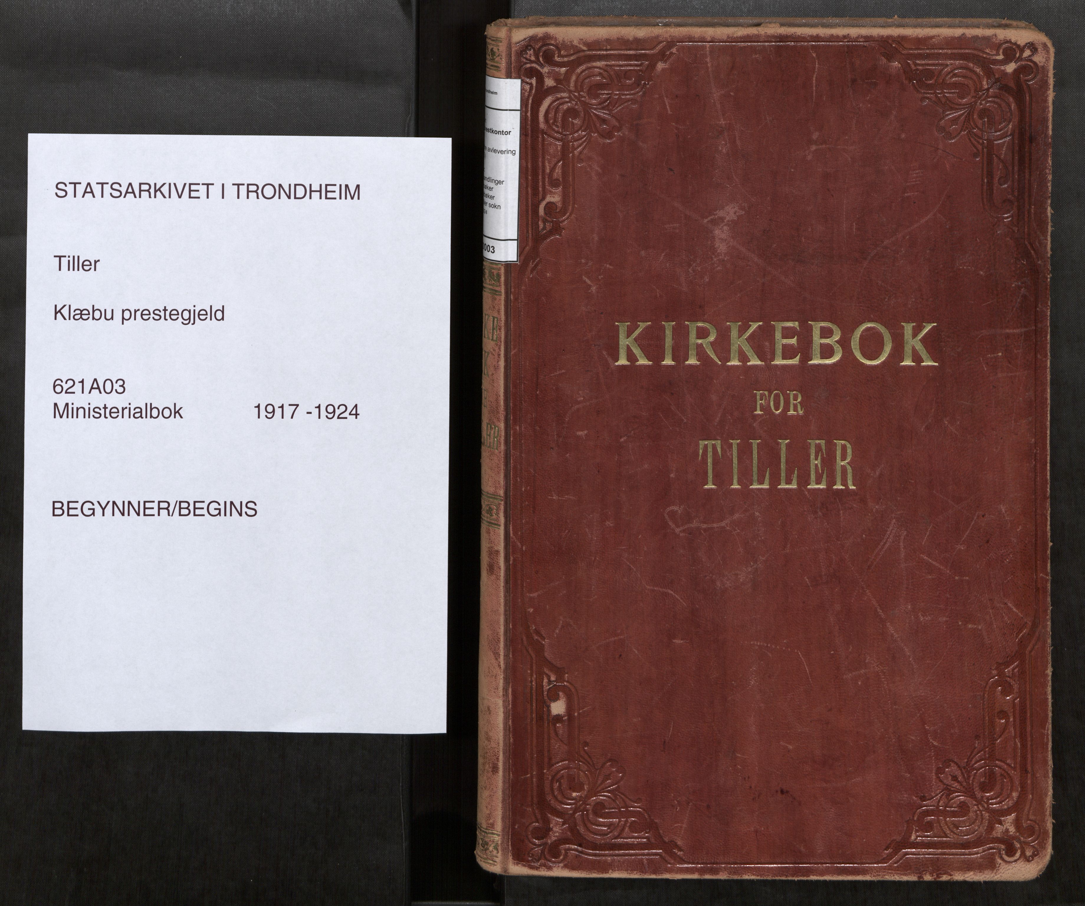 Klæbu sokneprestkontor, SAT/A-1112: Ministerialbok nr. 3, 1917-1924