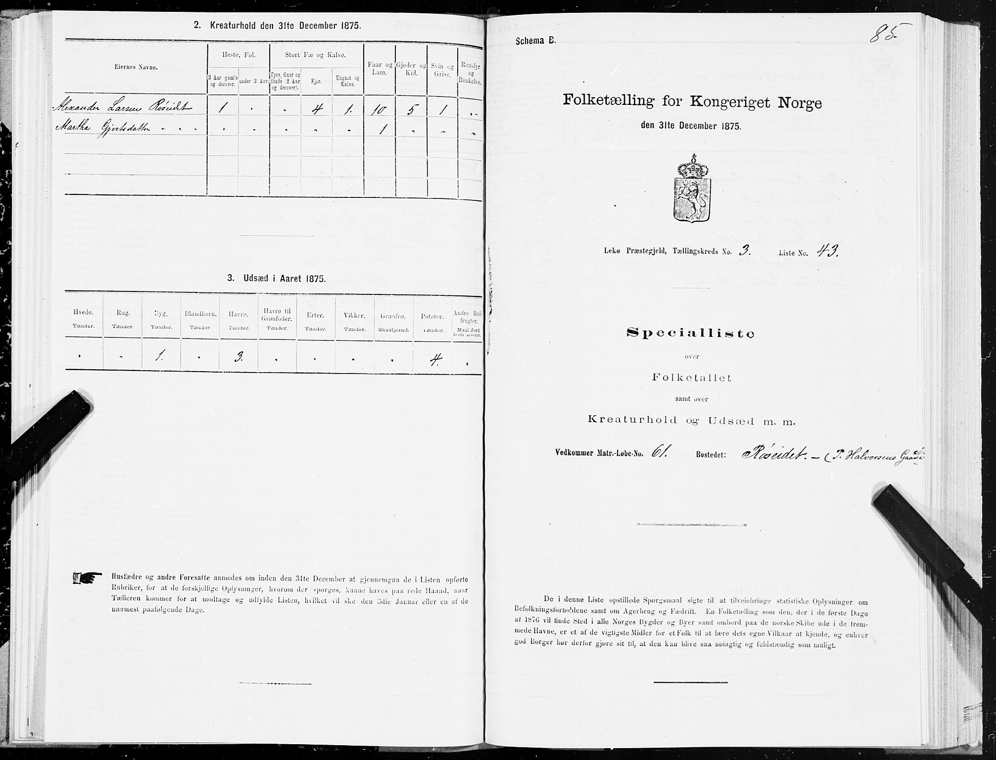 SAT, Folketelling 1875 for 1755P Leka prestegjeld, 1875, s. 2085