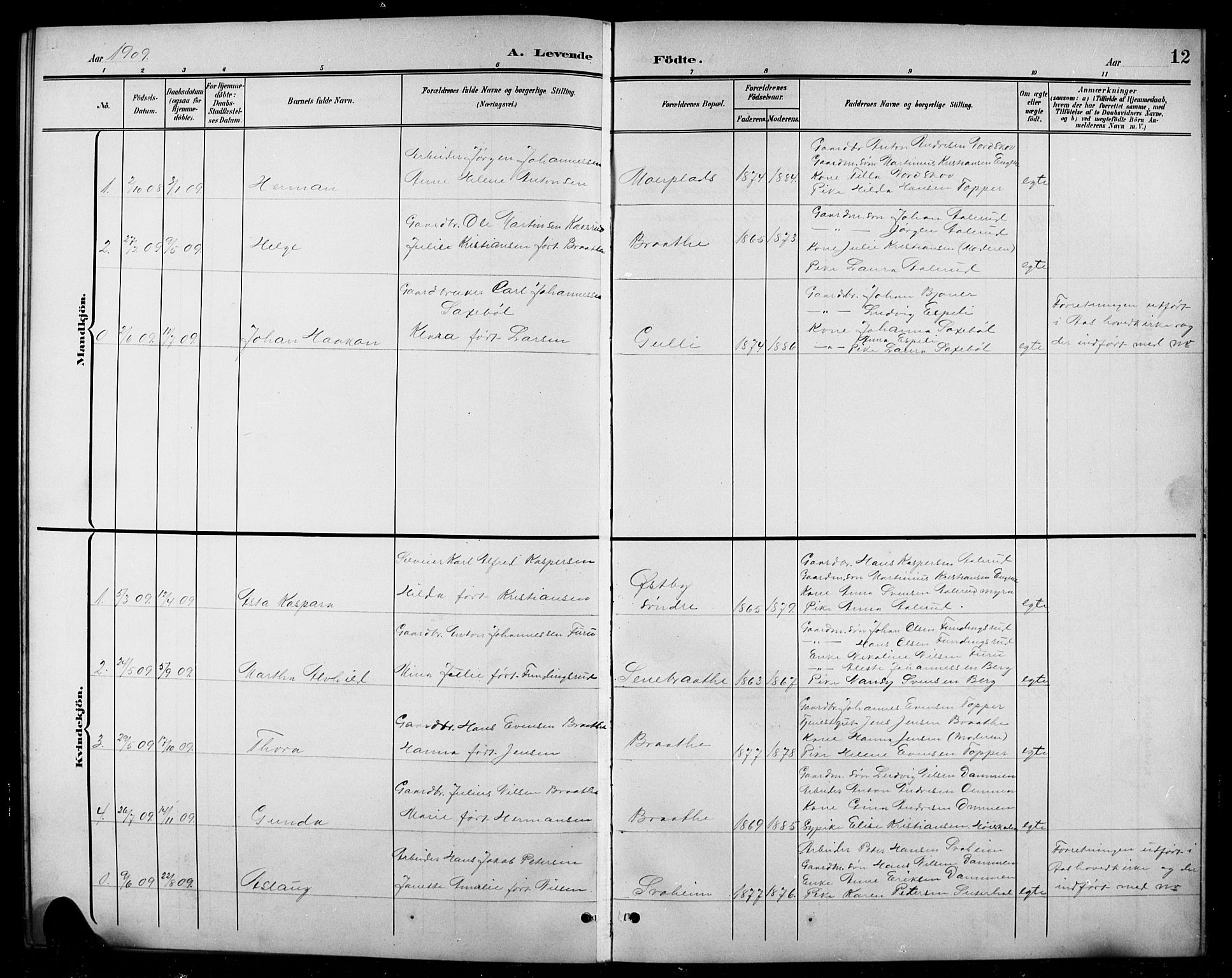 Ås prestekontor Kirkebøker, AV/SAO-A-10894/G/Gc/L0001: Klokkerbok nr. III 1, 1901-1924, s. 12