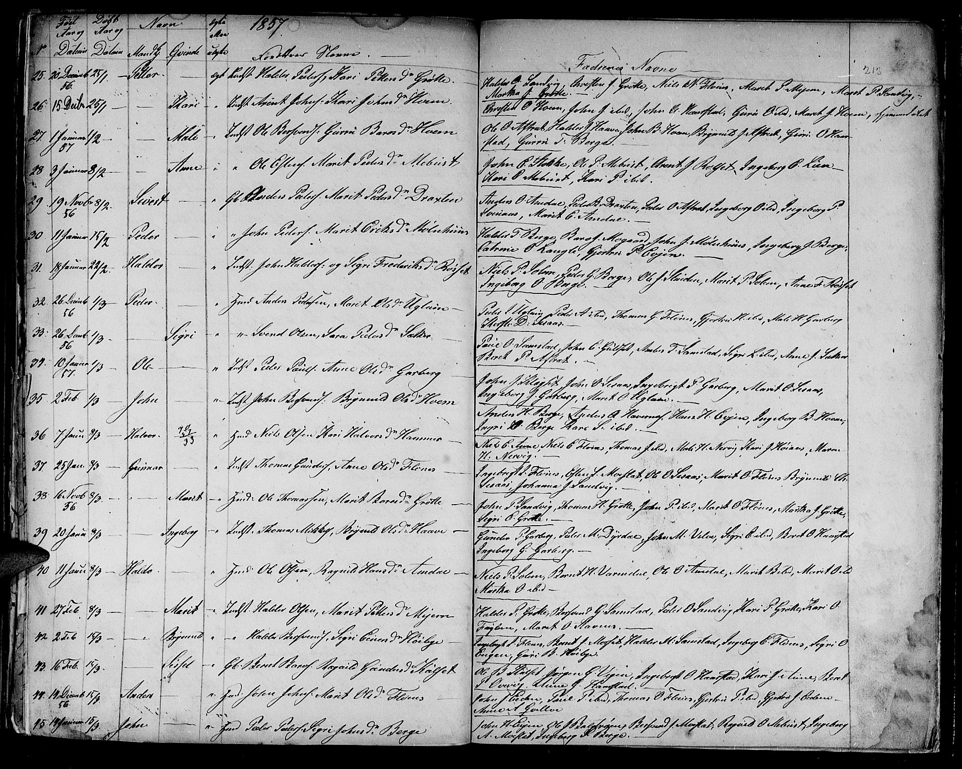 Ministerialprotokoller, klokkerbøker og fødselsregistre - Sør-Trøndelag, AV/SAT-A-1456/695/L1154: Klokkerbok nr. 695C05, 1842-1858, s. 213