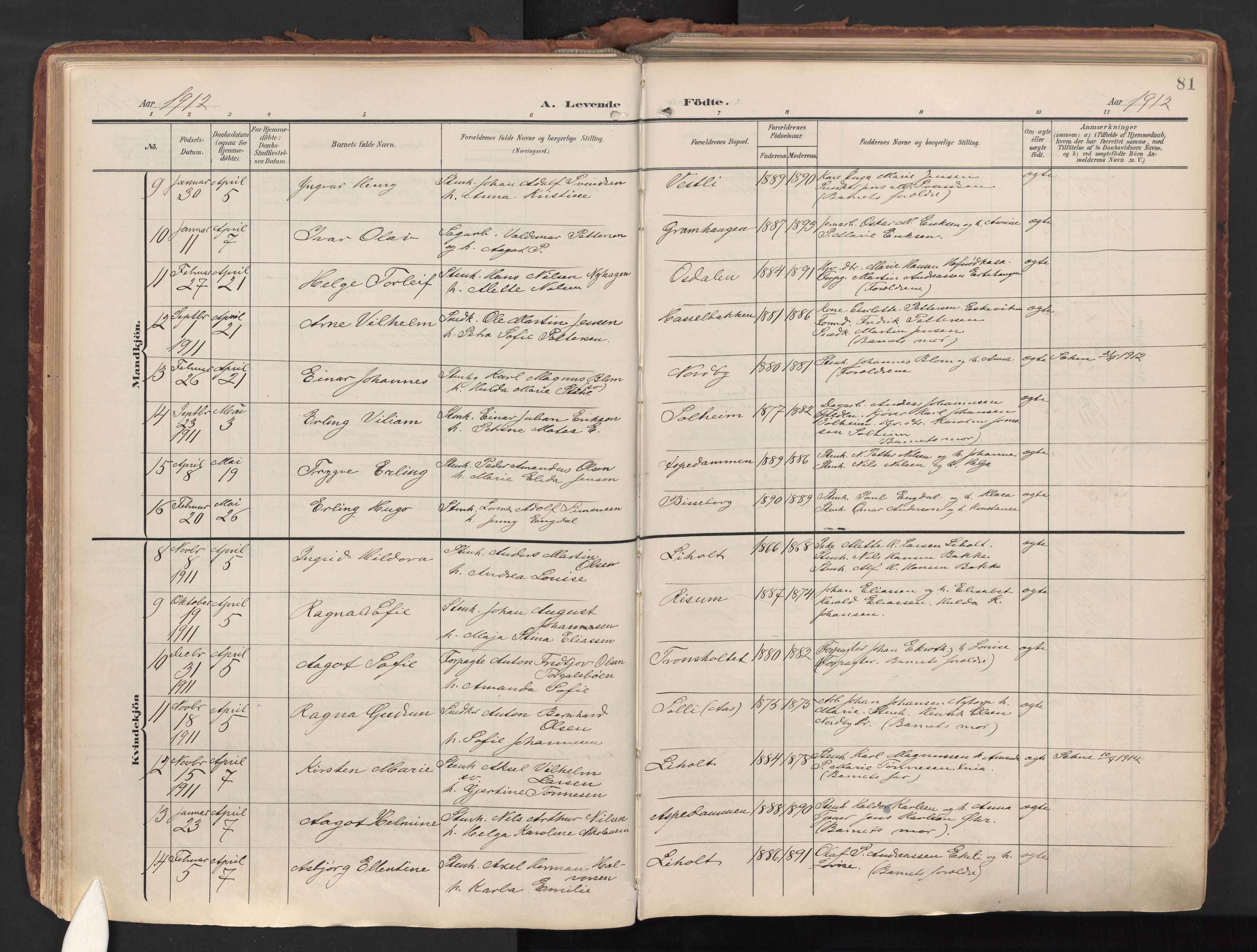 Idd prestekontor Kirkebøker, AV/SAO-A-10911/F/Fc/L0007: Ministerialbok nr. III 7, 1904-1925, s. 81