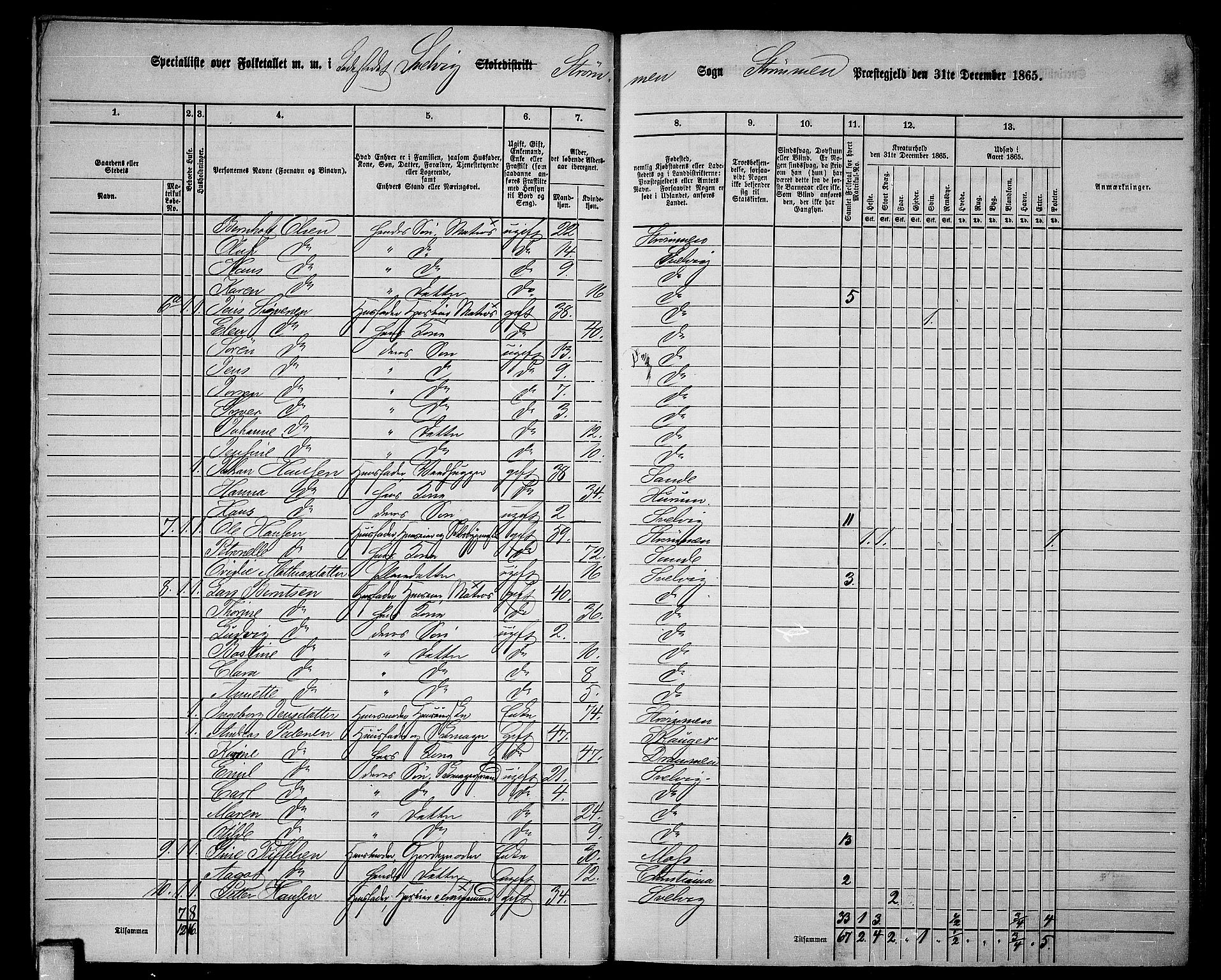 RA, Folketelling 1865 for 0711P Strømm prestegjeld, 1865, s. 63