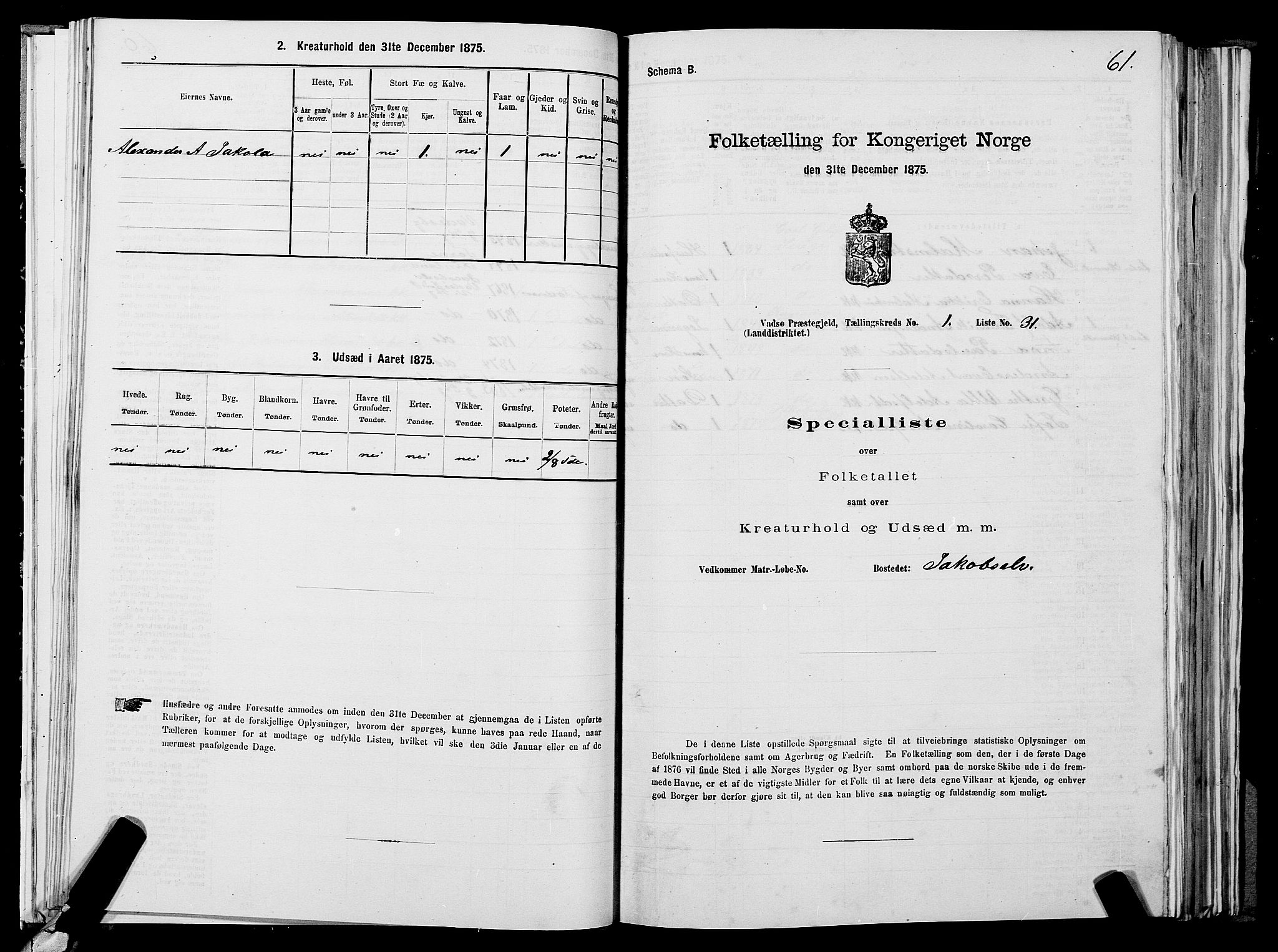 SATØ, Folketelling 1875 for 2029L Vadsø prestegjeld, Vadsø landsokn, 1875, s. 1061