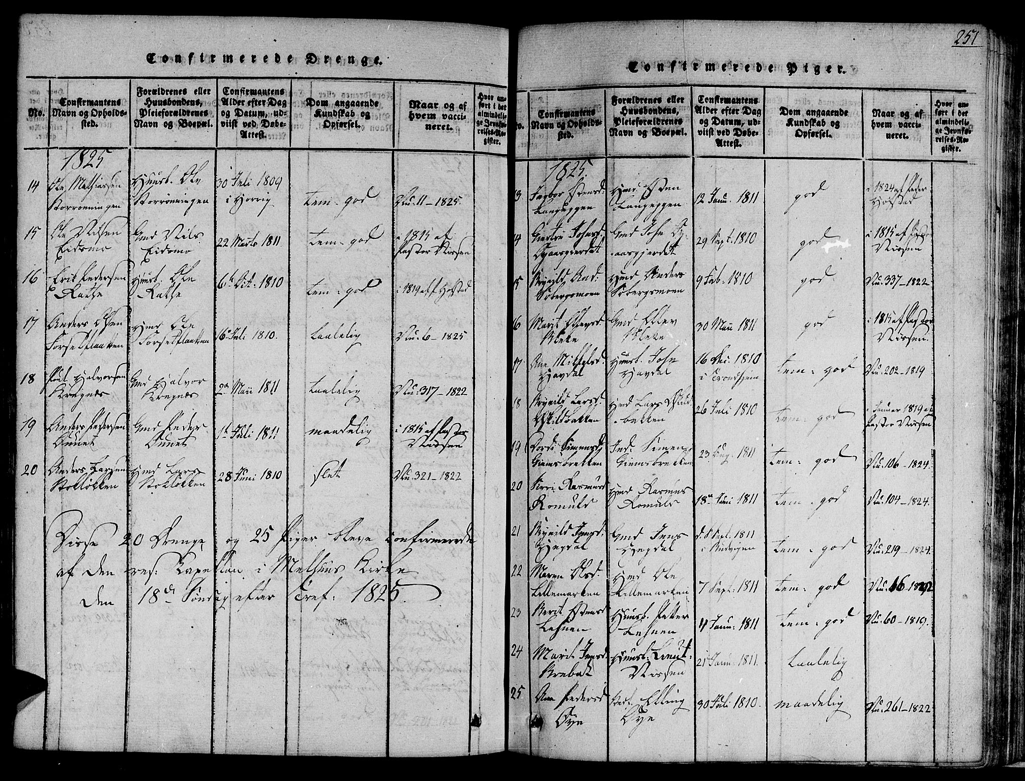 Ministerialprotokoller, klokkerbøker og fødselsregistre - Sør-Trøndelag, AV/SAT-A-1456/691/L1065: Ministerialbok nr. 691A03 /1, 1816-1826, s. 251