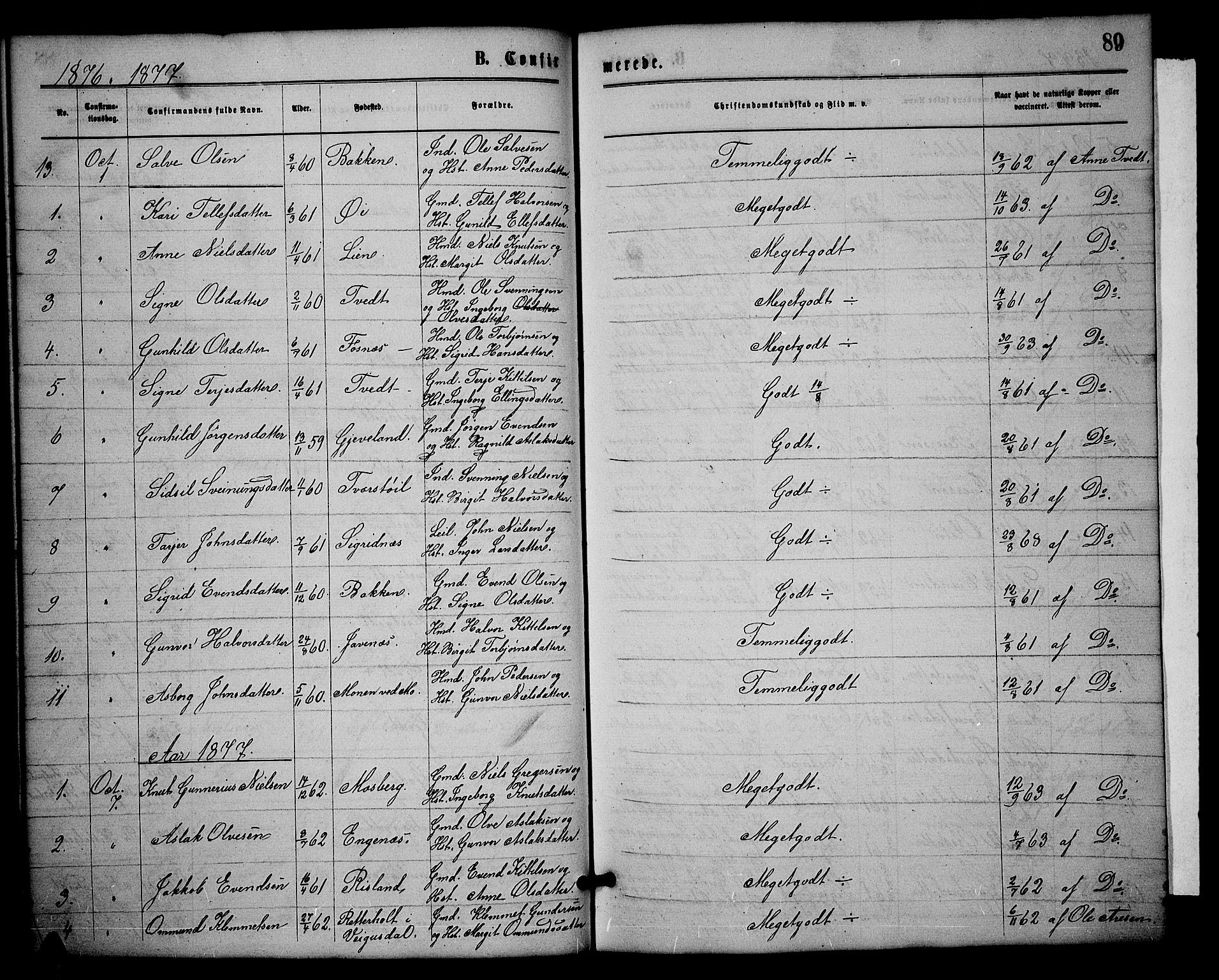 Åmli sokneprestkontor, SAK/1111-0050/F/Fb/Fbc/L0003: Klokkerbok nr. B 3, 1868-1888, s. 89