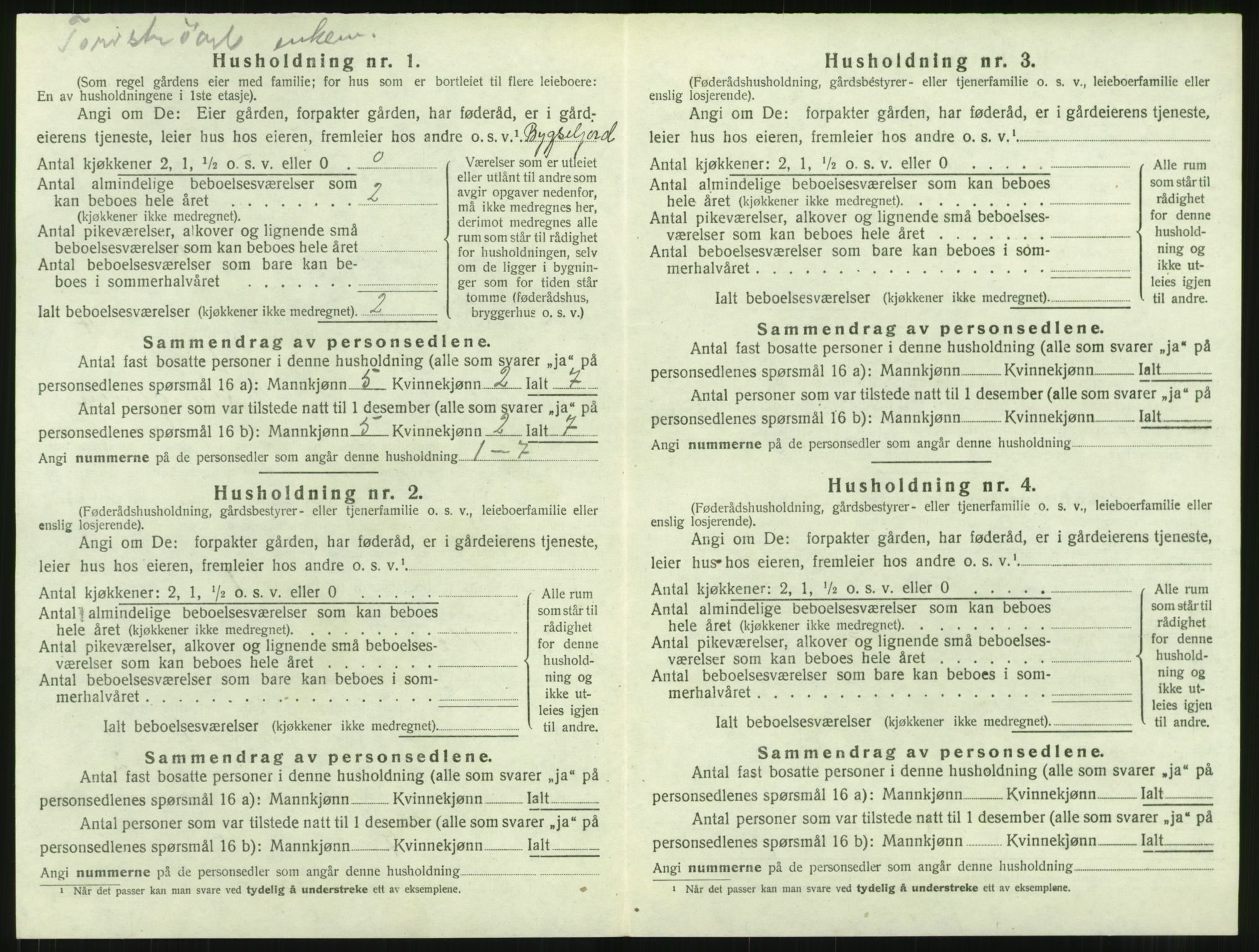 SAT, Folketelling 1920 for 1567 Rindal herred, 1920, s. 325
