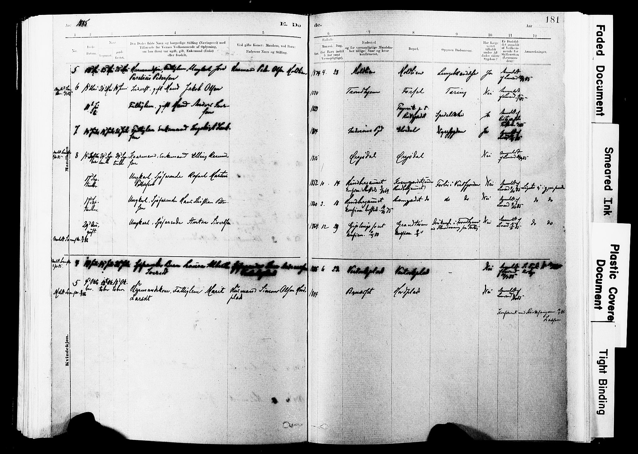 Ministerialprotokoller, klokkerbøker og fødselsregistre - Nord-Trøndelag, SAT/A-1458/744/L0420: Ministerialbok nr. 744A04, 1882-1904, s. 181
