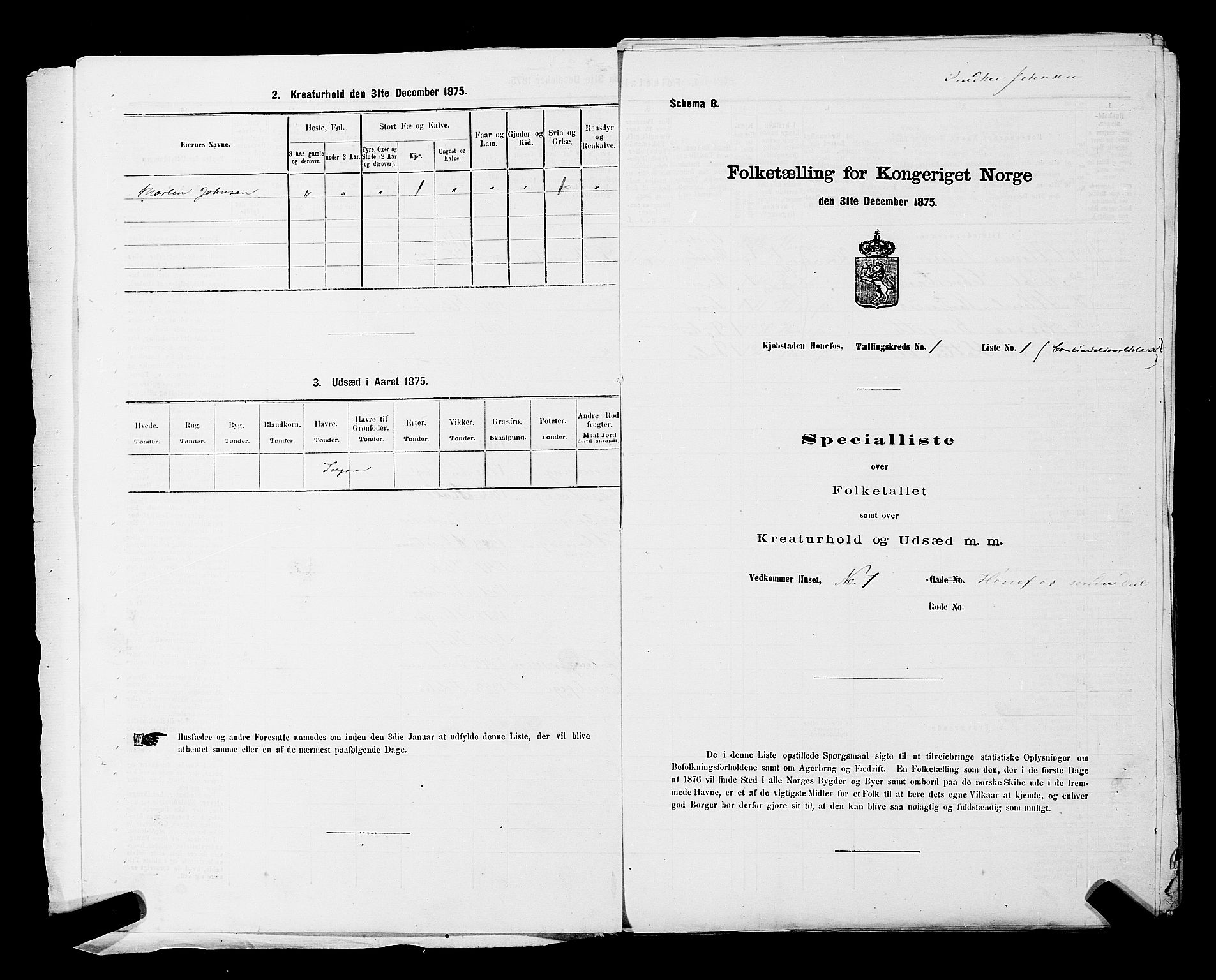 SAKO, Folketelling 1875 for 0601B Norderhov prestegjeld, Hønefoss kjøpstad, 1875, s. 14