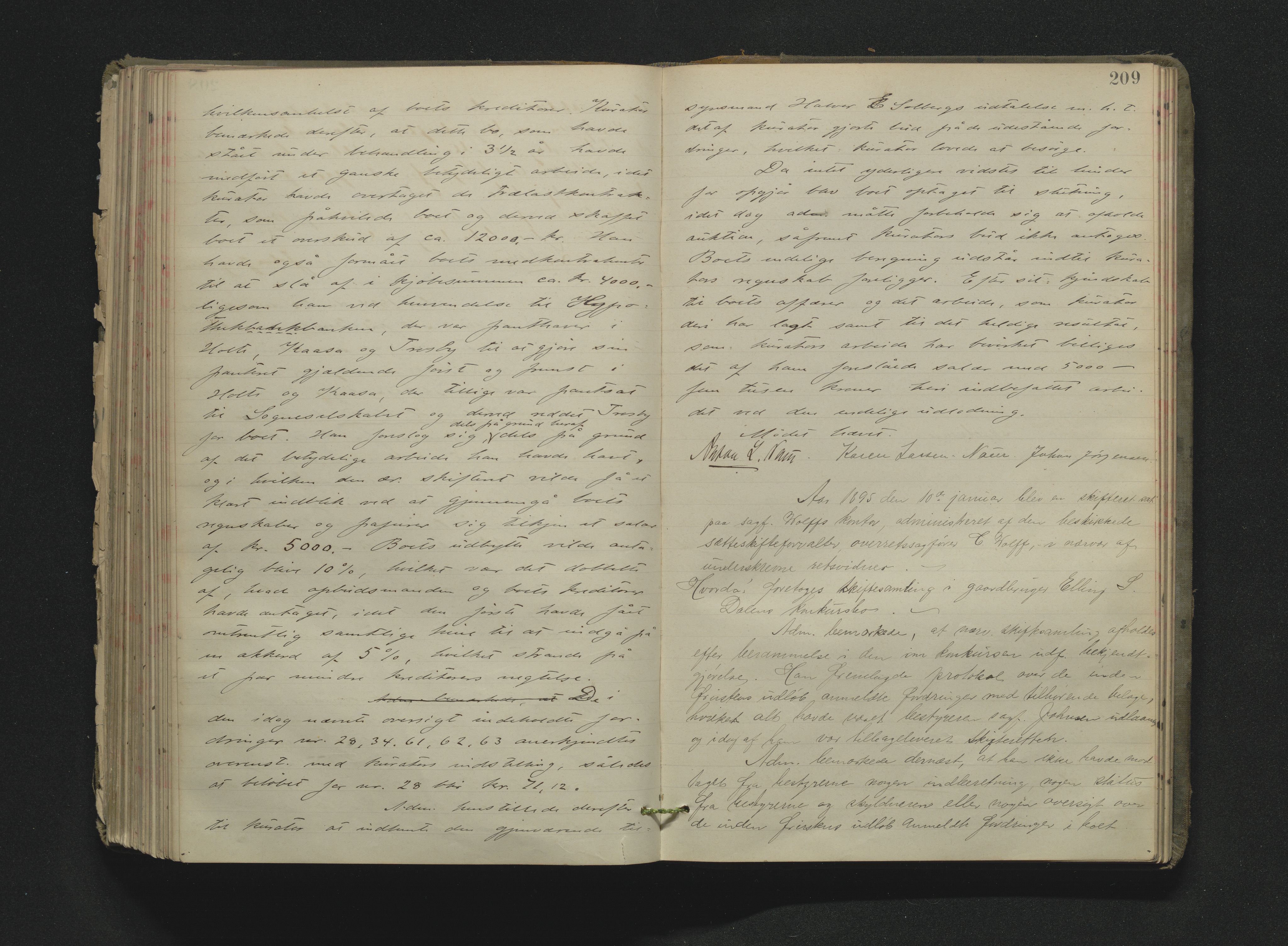 Bamble sorenskriveri, AV/SAKO-A-214/H/Hb/Hbc/L0010: Skifteforhandlingsprotokoll, 1892-1896, s. 209