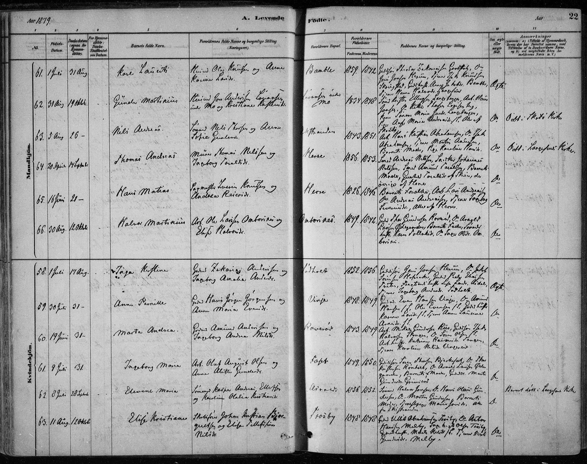 Bamble kirkebøker, AV/SAKO-A-253/F/Fa/L0007: Ministerialbok nr. I 7, 1878-1888, s. 22