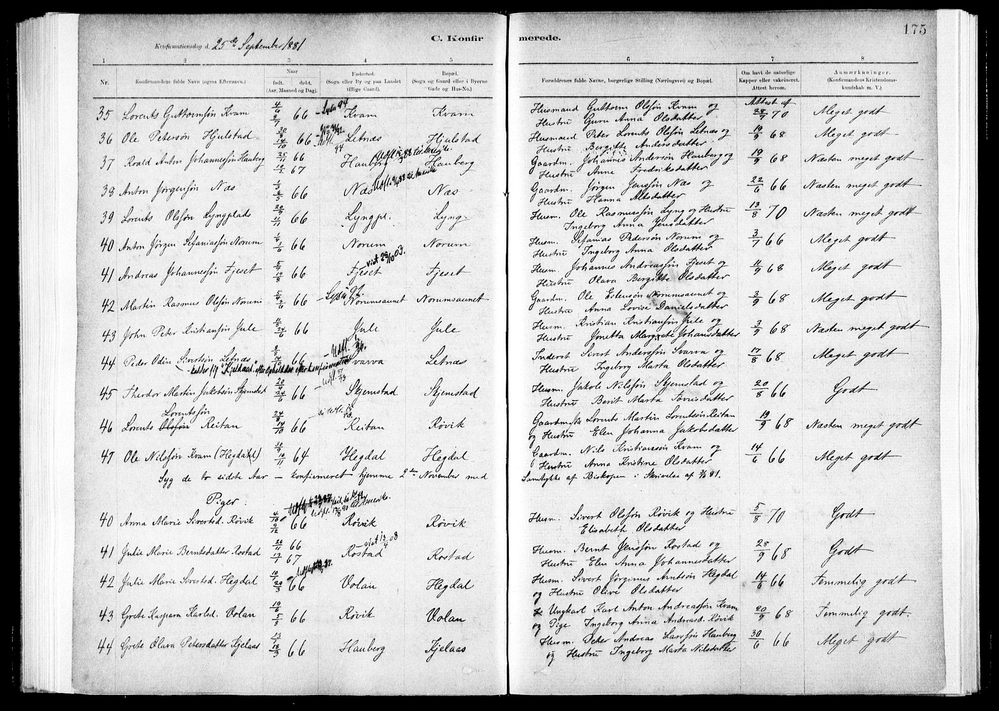 Ministerialprotokoller, klokkerbøker og fødselsregistre - Nord-Trøndelag, SAT/A-1458/730/L0285: Ministerialbok nr. 730A10, 1879-1914, s. 175