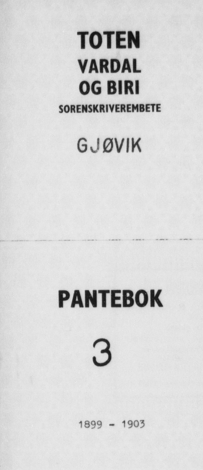 Toten tingrett, AV/SAH-TING-006/H/Hb/Hbb/L0003: Pantebok nr. 3, 1899-1903