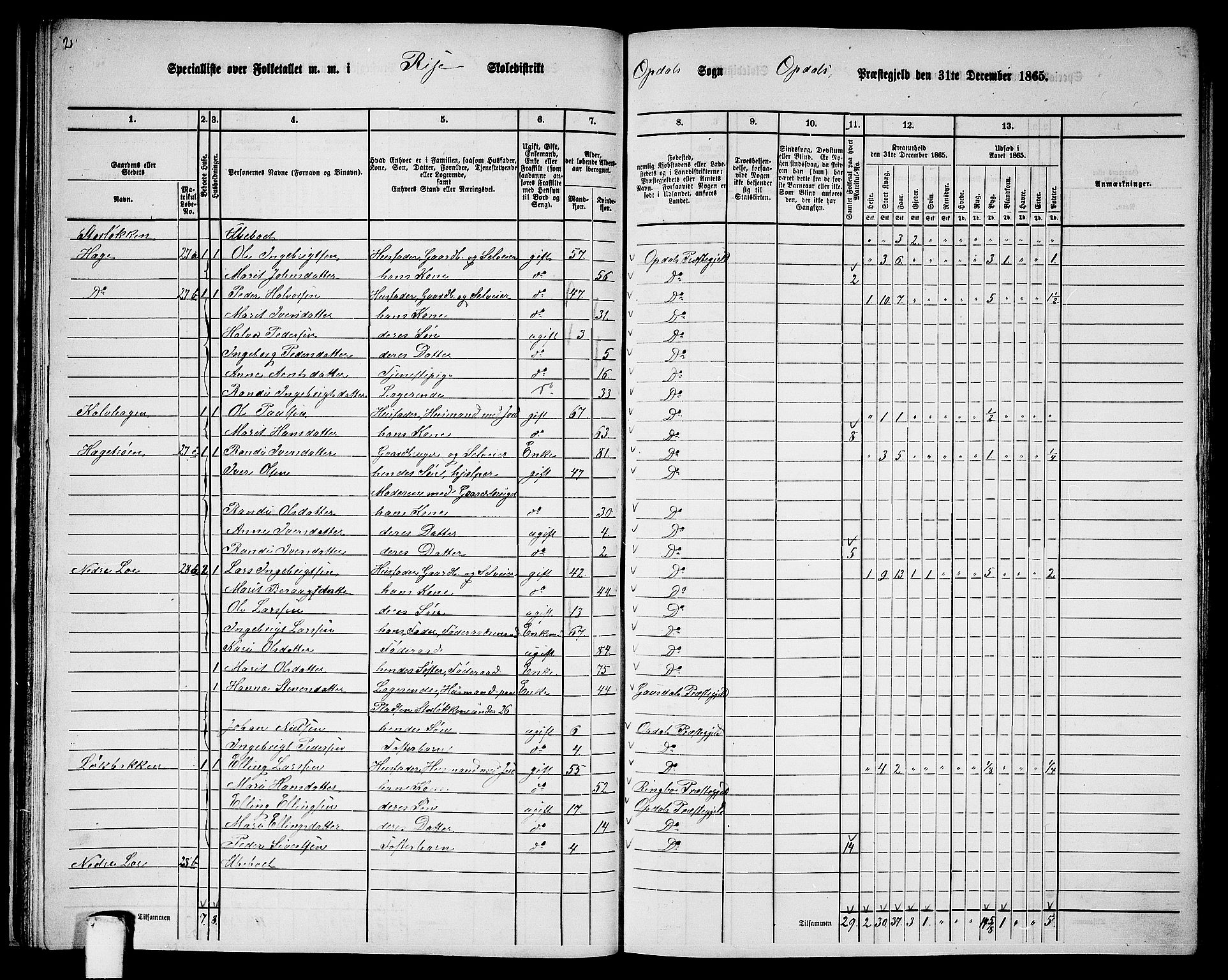 RA, Folketelling 1865 for 1634P Oppdal prestegjeld, 1865, s. 40