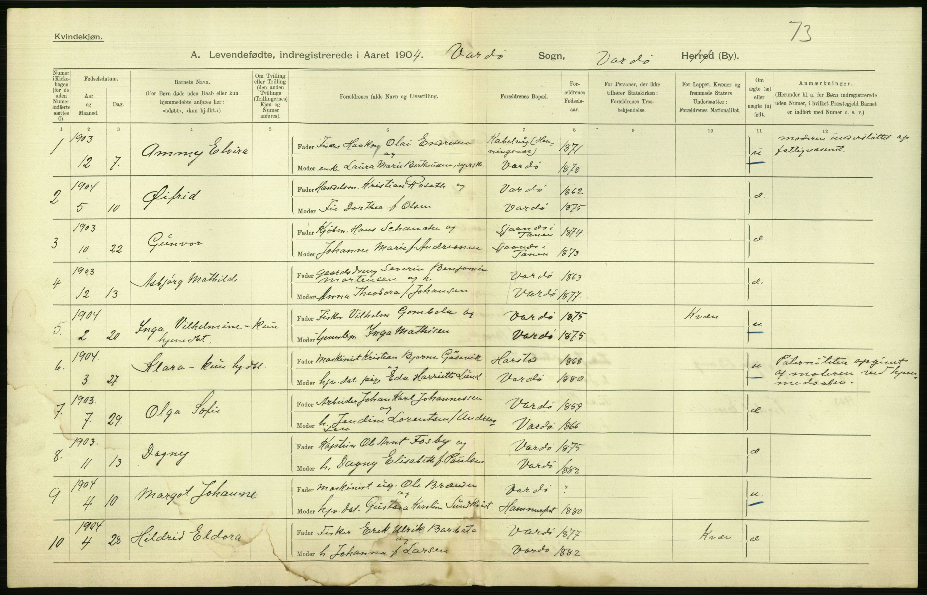 Statistisk sentralbyrå, Sosiodemografiske emner, Befolkning, AV/RA-S-2228/D/Df/Dfa/Dfab/L0023: Finnmarkens amt: Fødte, gifte, døde, 1904, s. 146