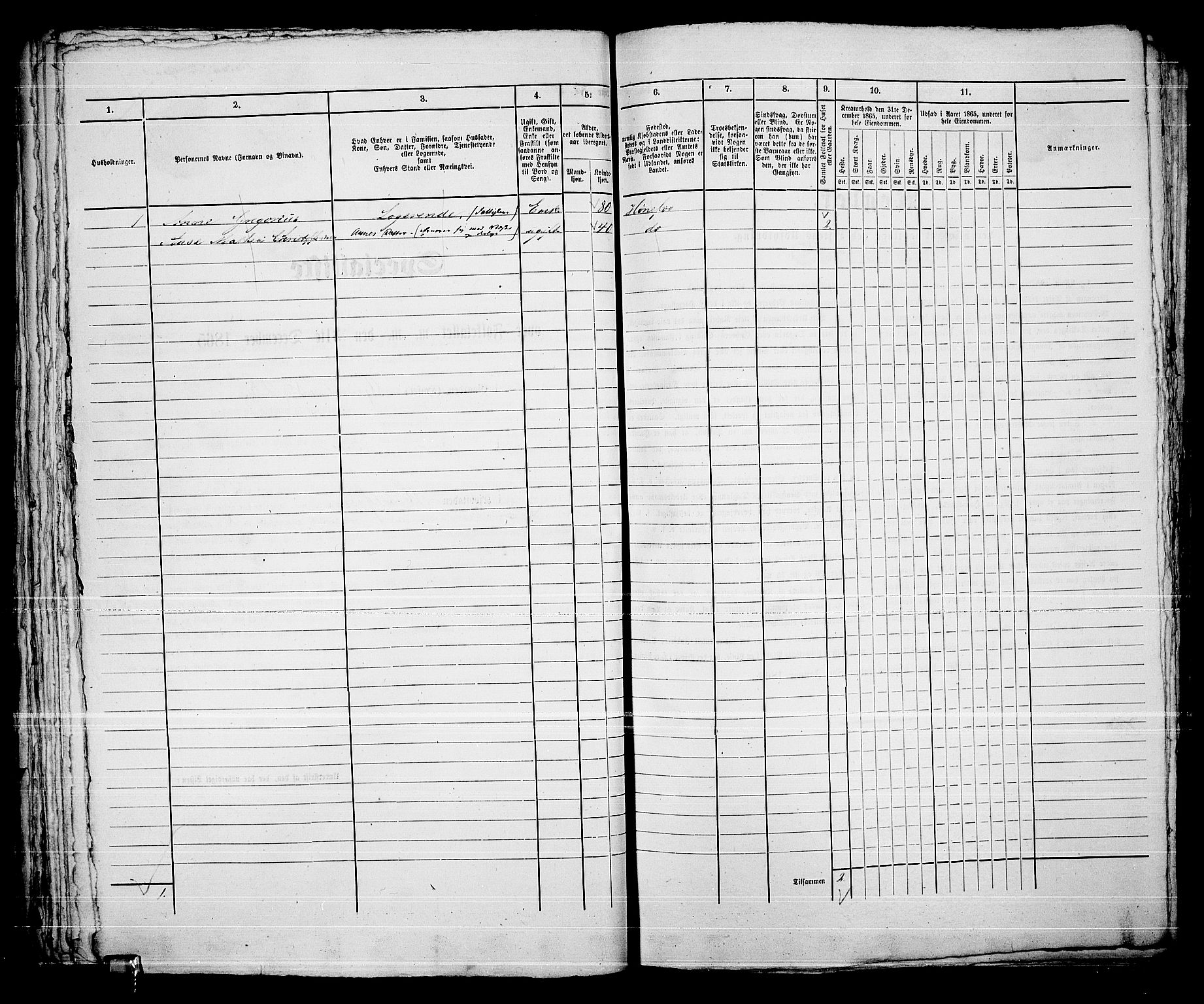 RA, Folketelling 1865 for 0601B Norderhov prestegjeld, Hønefoss kjøpstad, 1865, s. 83