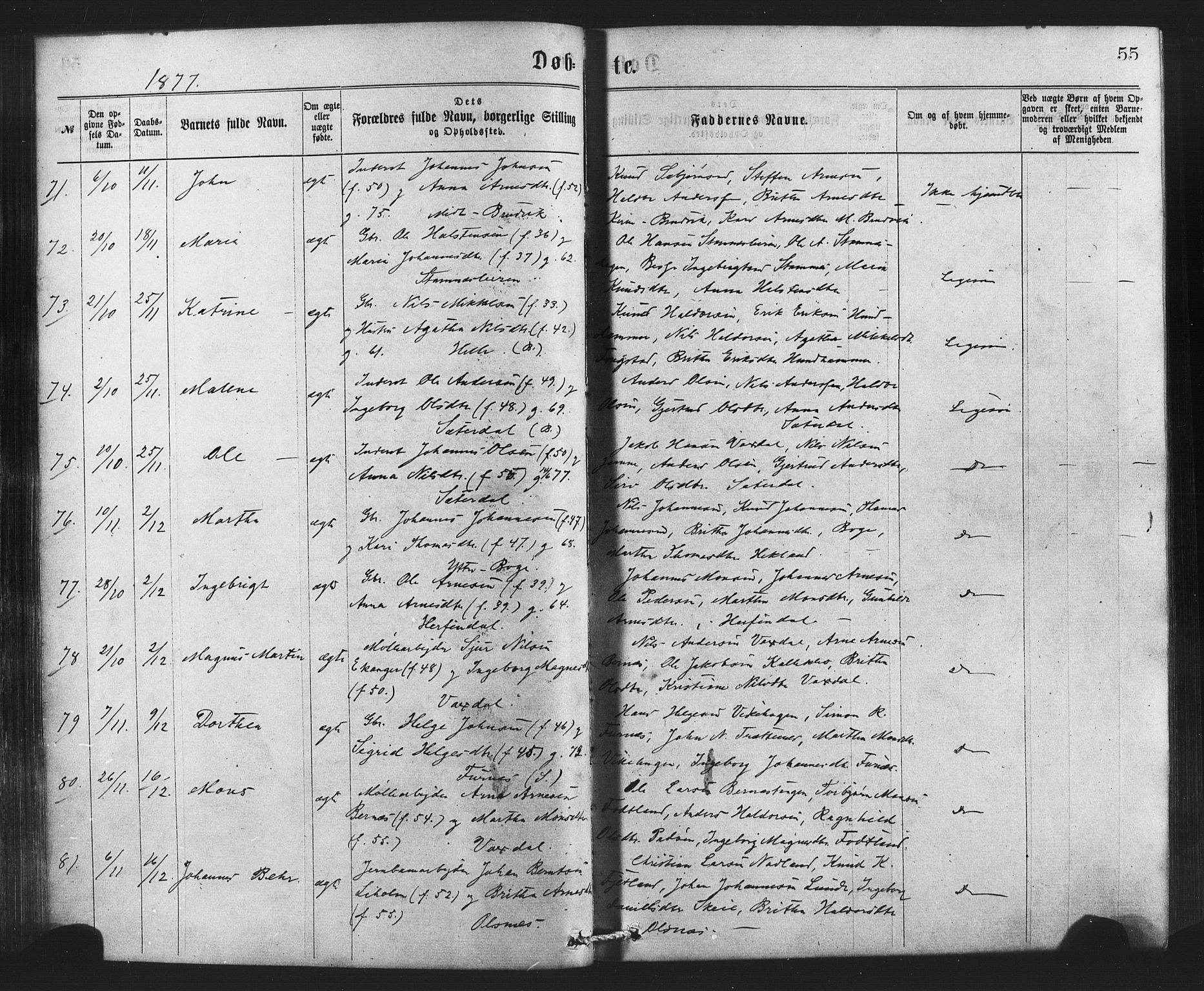 Bruvik Sokneprestembete, AV/SAB-A-74701/H/Haa: Ministerialbok nr. A 1, 1869-1877, s. 55