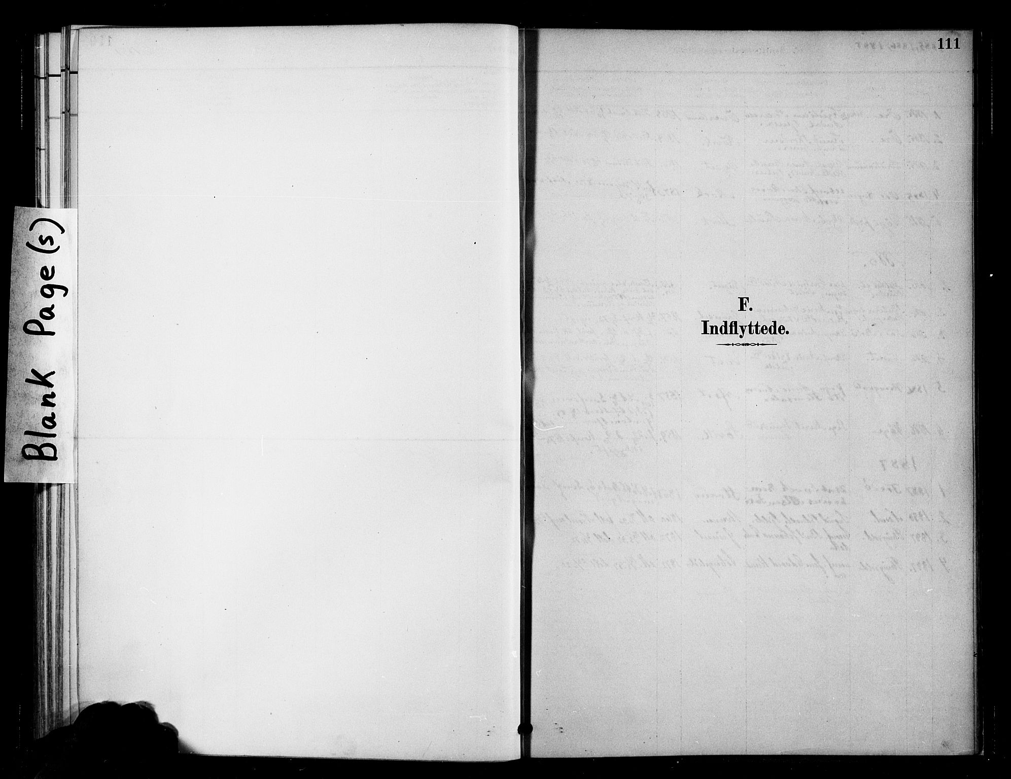 Ministerialprotokoller, klokkerbøker og fødselsregistre - Møre og Romsdal, AV/SAT-A-1454/568/L0809: Ministerialbok nr. 568A13, 1884-1900, s. 111