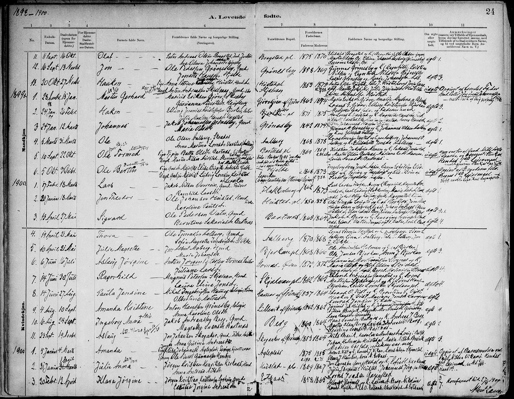 Ministerialprotokoller, klokkerbøker og fødselsregistre - Nord-Trøndelag, SAT/A-1458/732/L0316: Ministerialbok nr. 732A01, 1879-1921, s. 24
