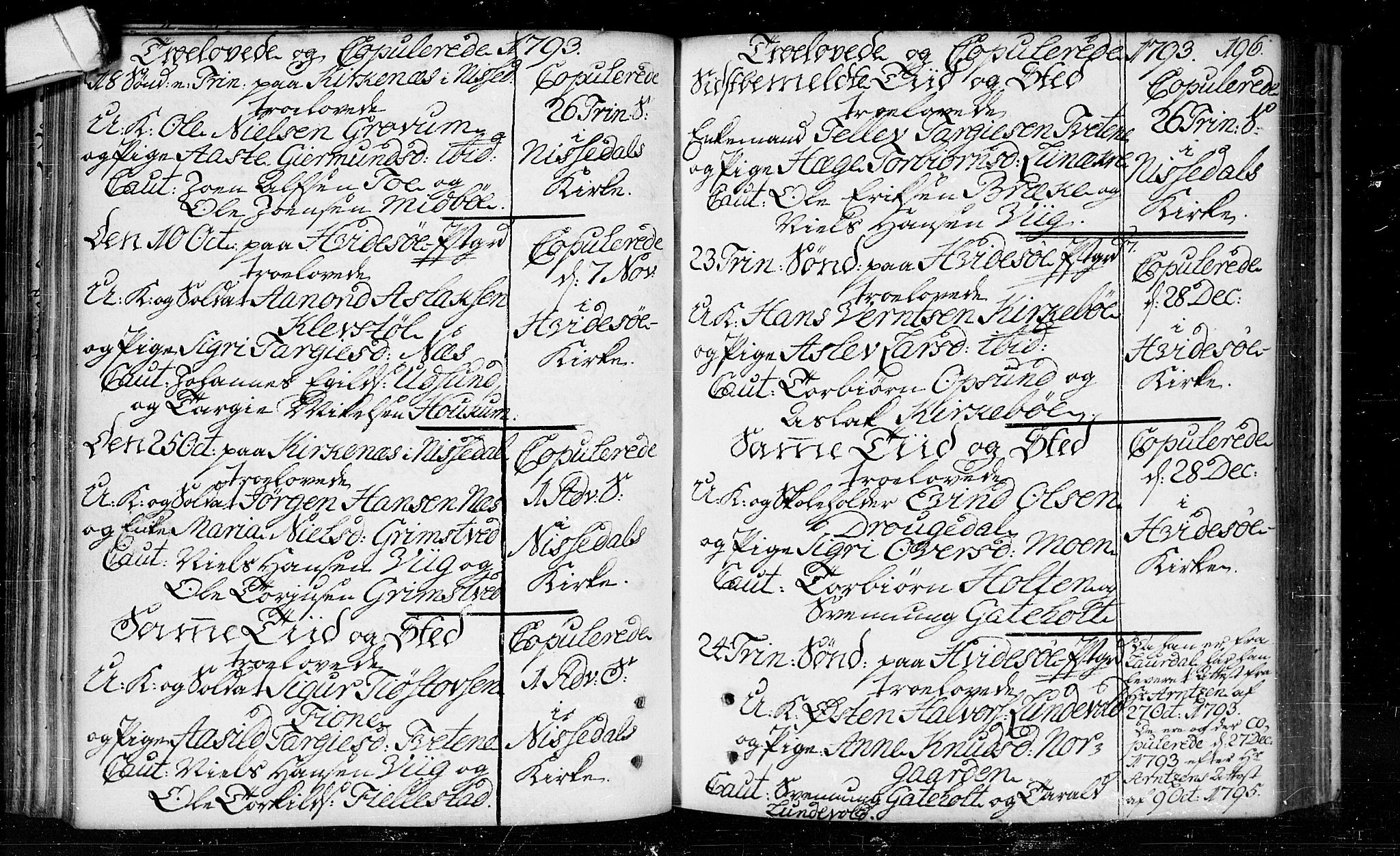 Kviteseid kirkebøker, SAKO/A-276/F/Fa/L0003: Ministerialbok nr. I 3, 1787-1799, s. 196