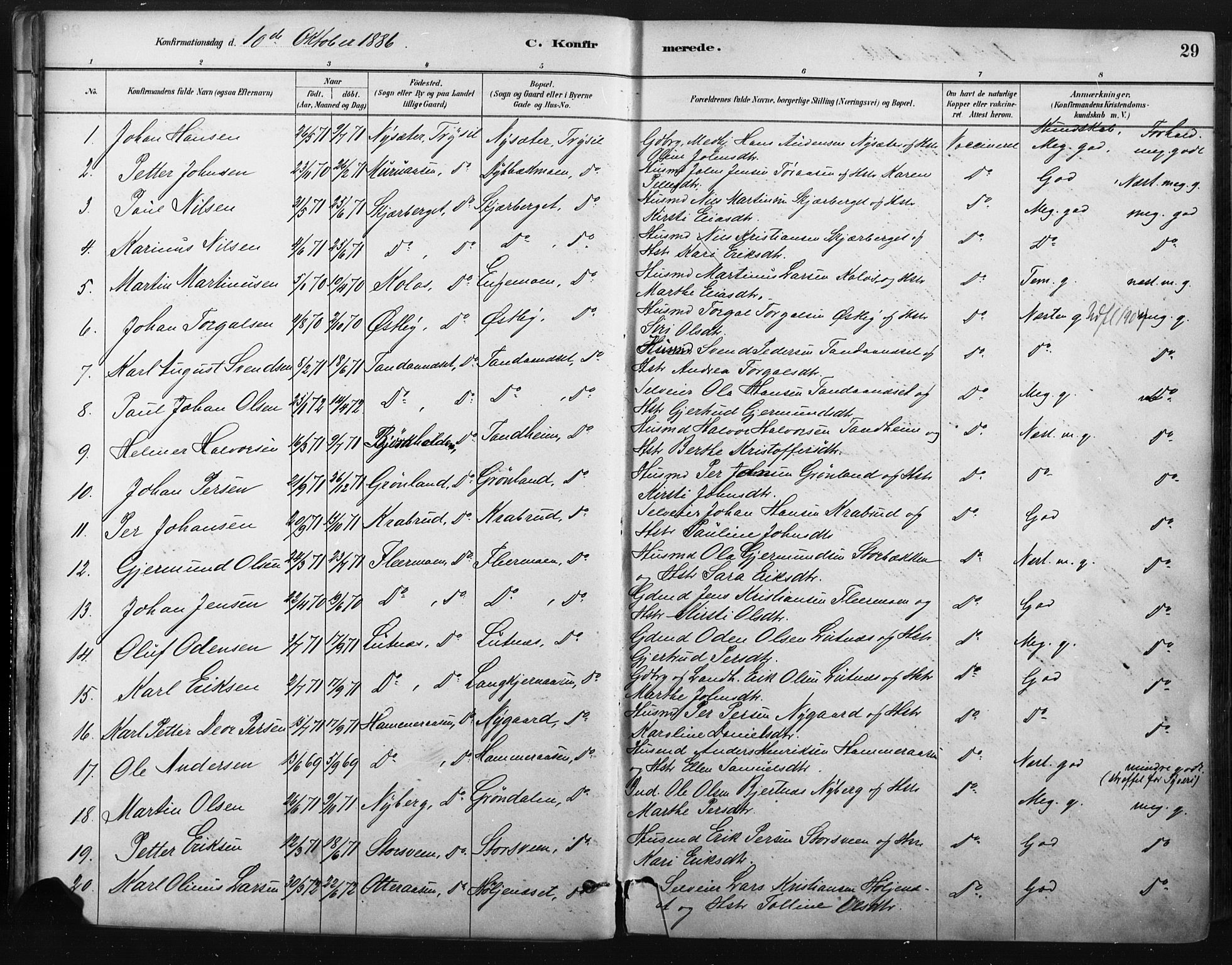 Trysil prestekontor, AV/SAH-PREST-046/H/Ha/Haa/L0009: Ministerialbok nr. 9, 1881-1897, s. 29