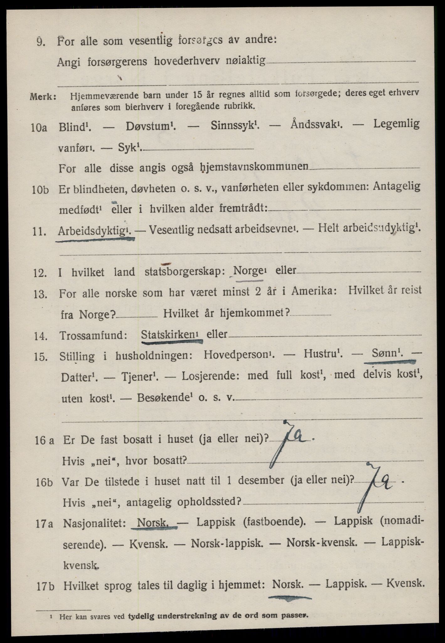 SAT, Folketelling 1920 for 1616 Fillan herred, 1920, s. 1311