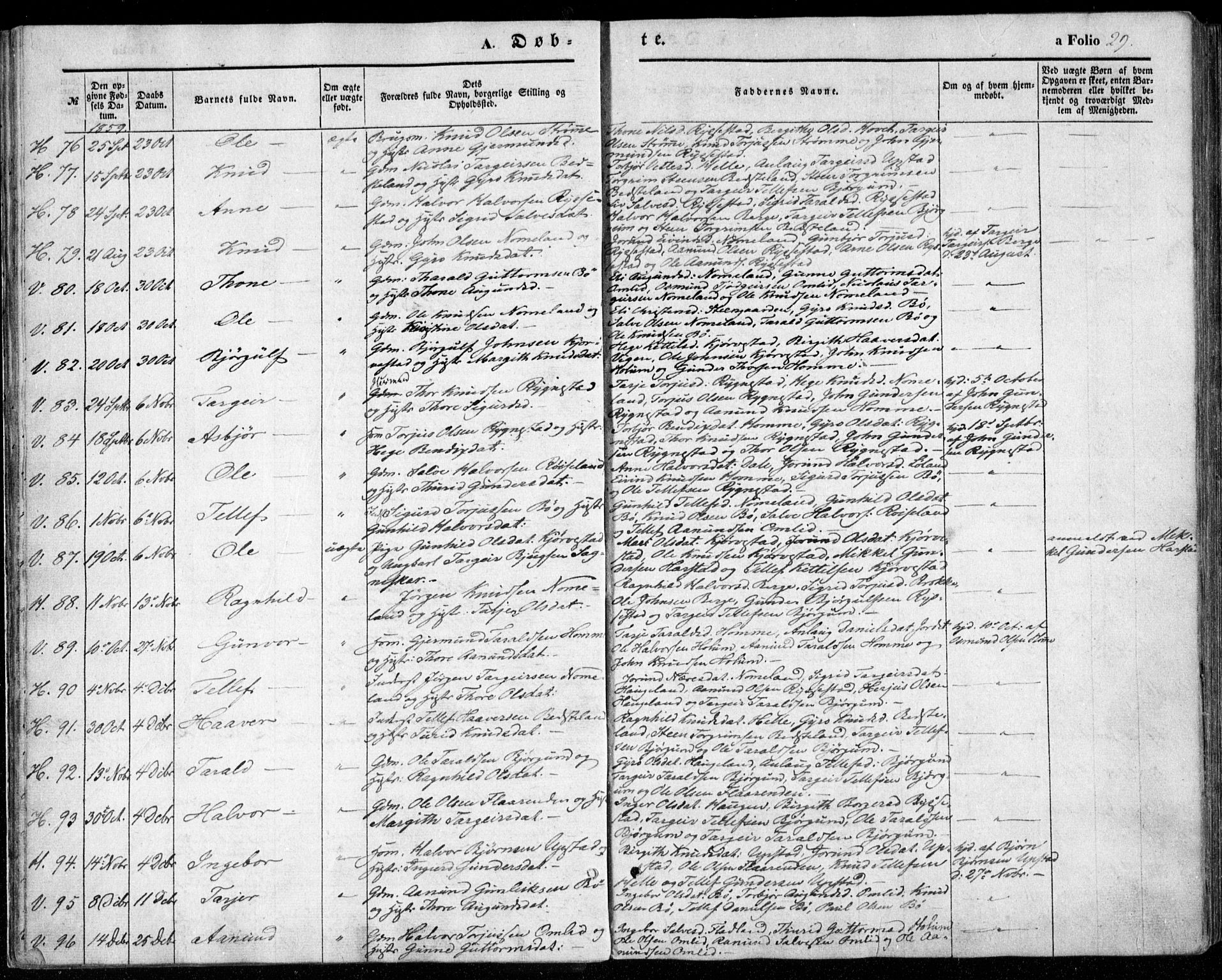 Valle sokneprestkontor, AV/SAK-1111-0044/F/Fa/Fac/L0007: Ministerialbok nr. A 7, 1854-1868, s. 29