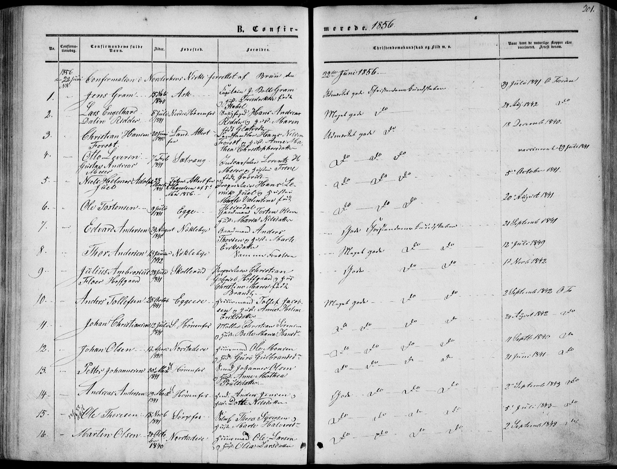 Norderhov kirkebøker, AV/SAKO-A-237/F/Fa/L0012: Ministerialbok nr. 12, 1856-1865, s. 201