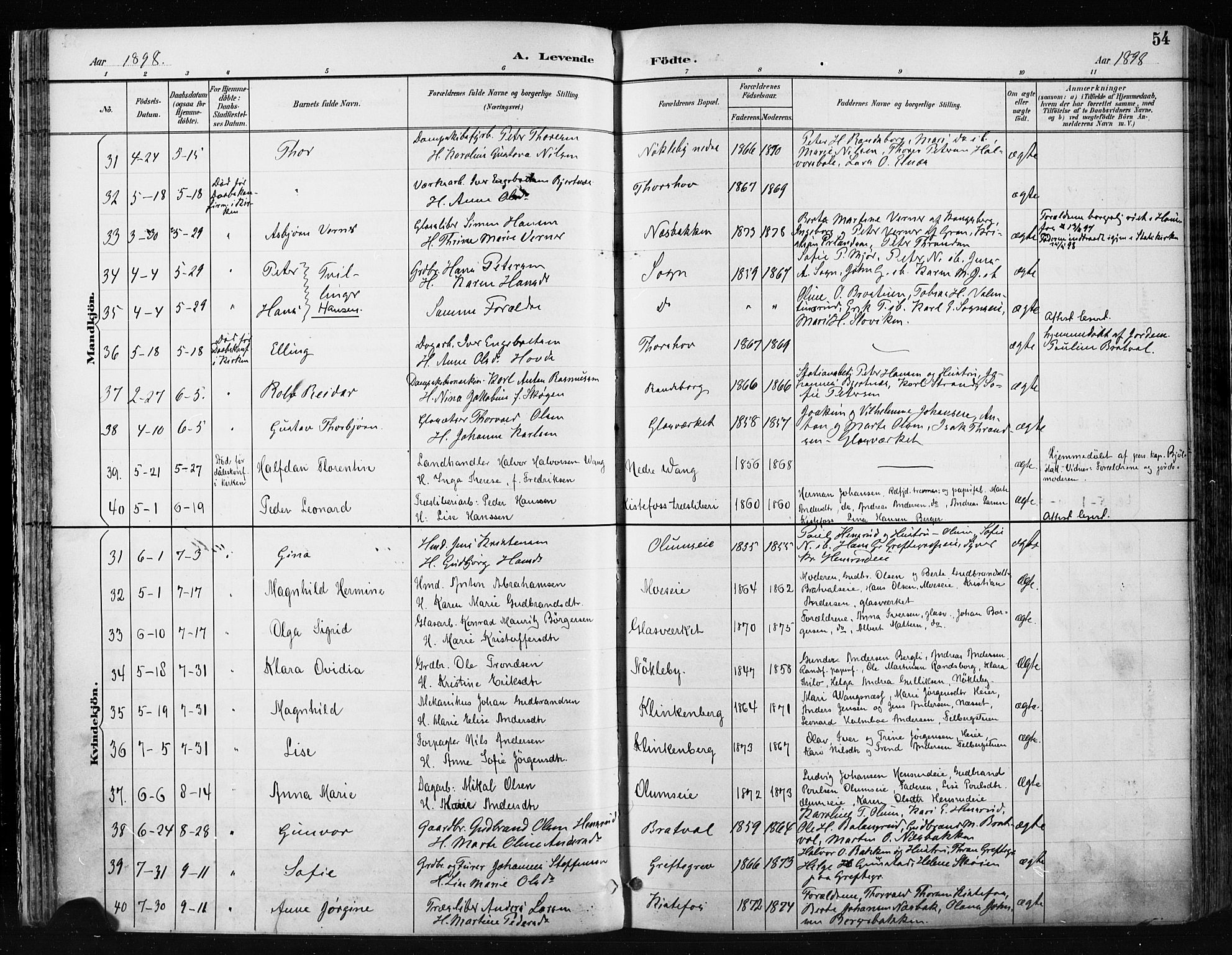 Jevnaker prestekontor, AV/SAH-PREST-116/H/Ha/Haa/L0009: Ministerialbok nr. 9, 1891-1901, s. 54