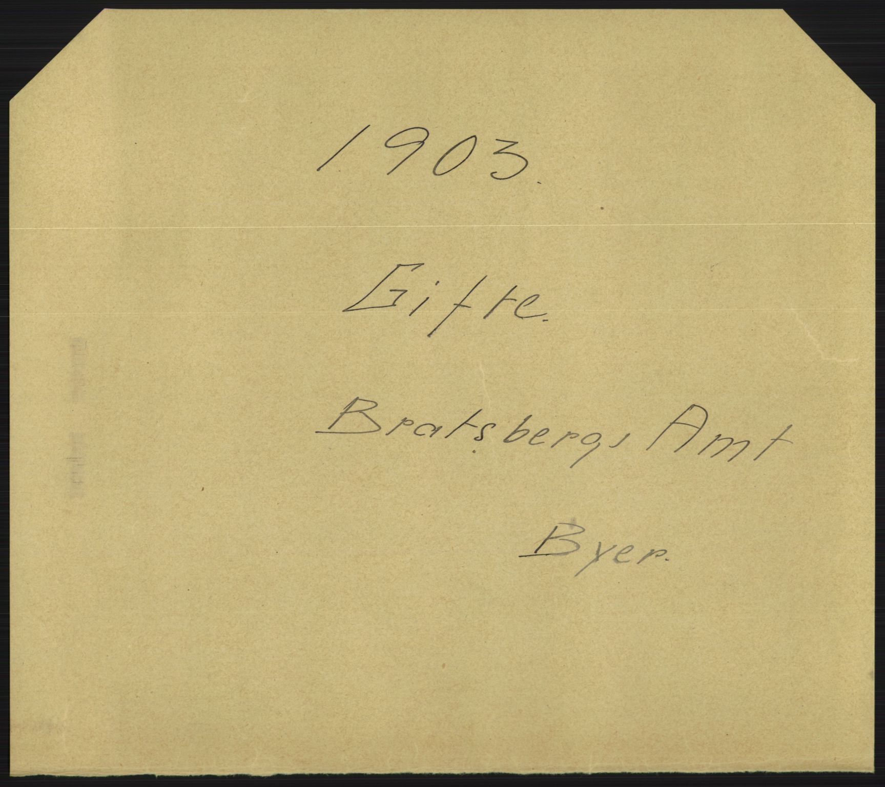 Statistisk sentralbyrå, Sosiodemografiske emner, Befolkning, RA/S-2228/D/Df/Dfa/Dfaa/L0009: Bratsberg amt: Fødte, gifte, døde, 1903, s. 463