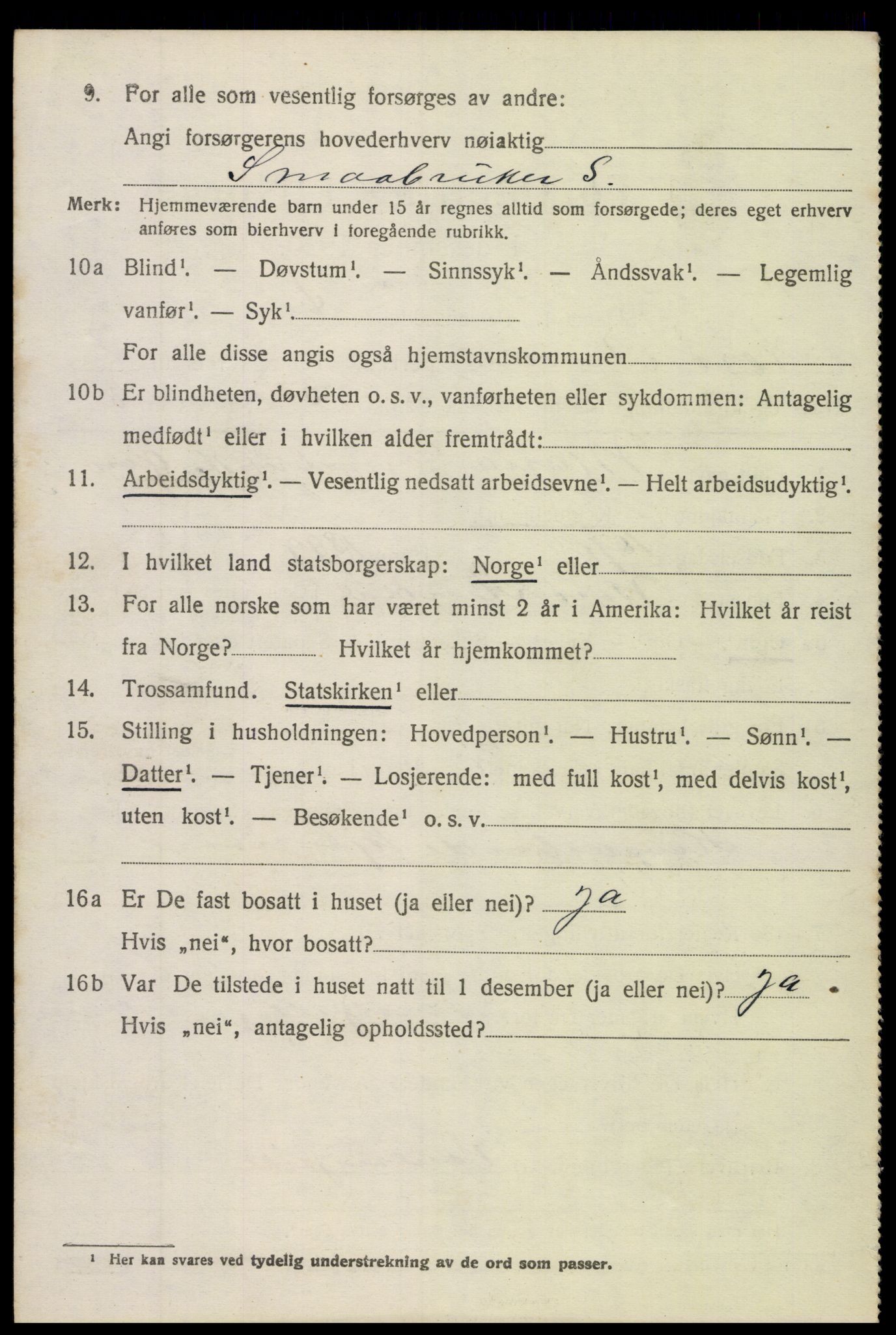 SAH, Folketelling 1920 for 0542 Nord-Aurdal herred, 1920, s. 6651