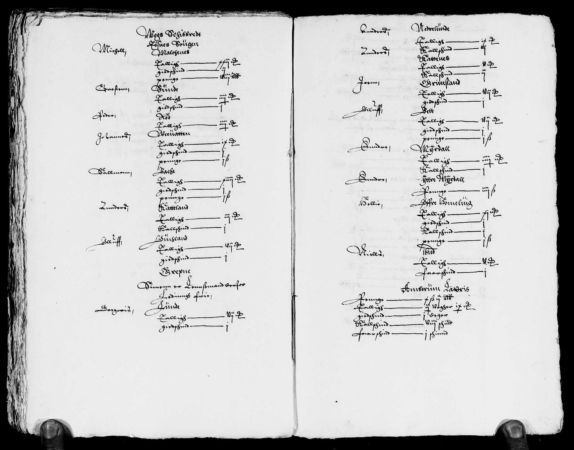 Rentekammeret inntil 1814, Reviderte regnskaper, Lensregnskaper, AV/RA-EA-5023/R/Rb/Rbt/L0030: Bergenhus len, 1620-1621