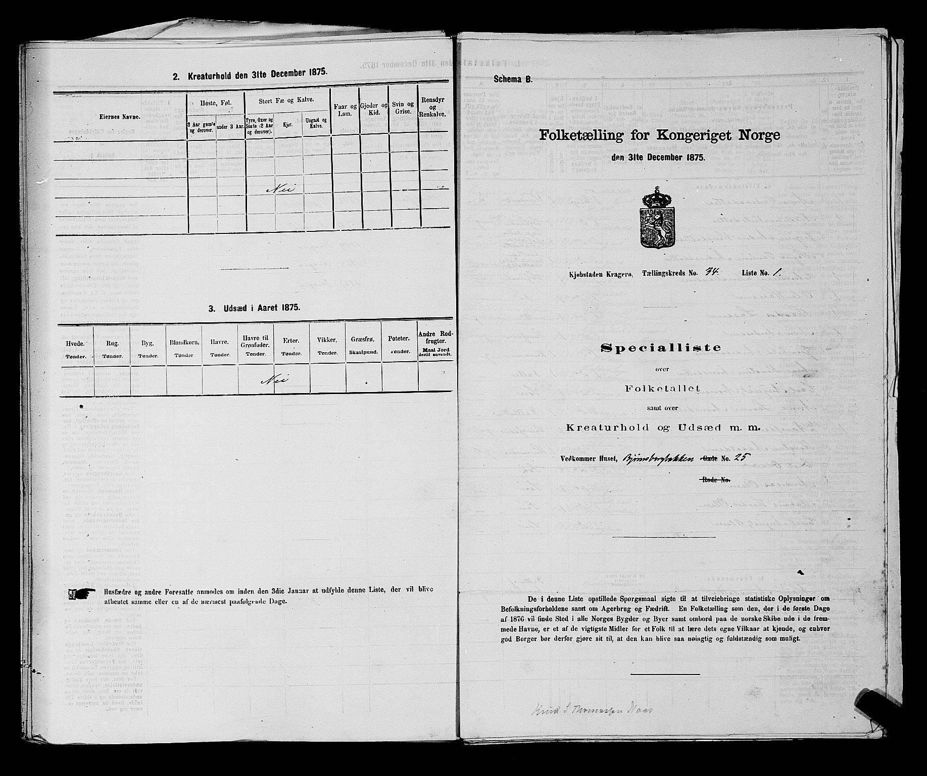 SAKO, Folketelling 1875 for 0801P Kragerø prestegjeld, 1875, s. 725