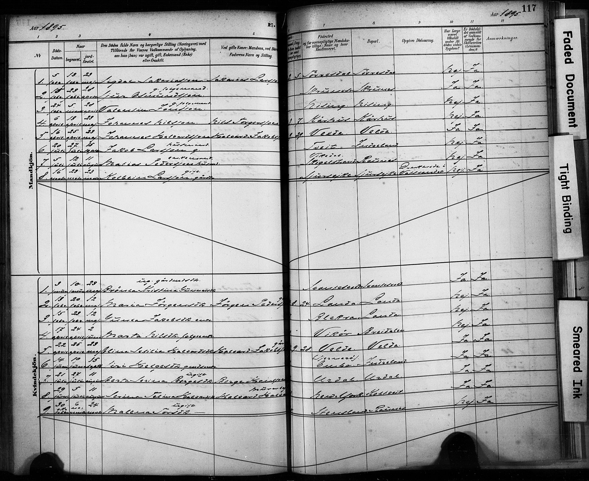 Skjold sokneprestkontor, SAST/A-101847/H/Ha/Haa/L0009: Ministerialbok nr. A 9, 1882-1898, s. 117