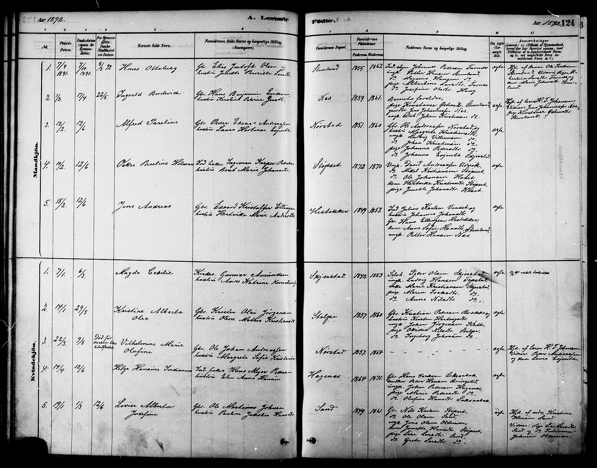 Ministerialprotokoller, klokkerbøker og fødselsregistre - Nordland, SAT/A-1459/852/L0740: Ministerialbok nr. 852A10, 1878-1894, s. 124