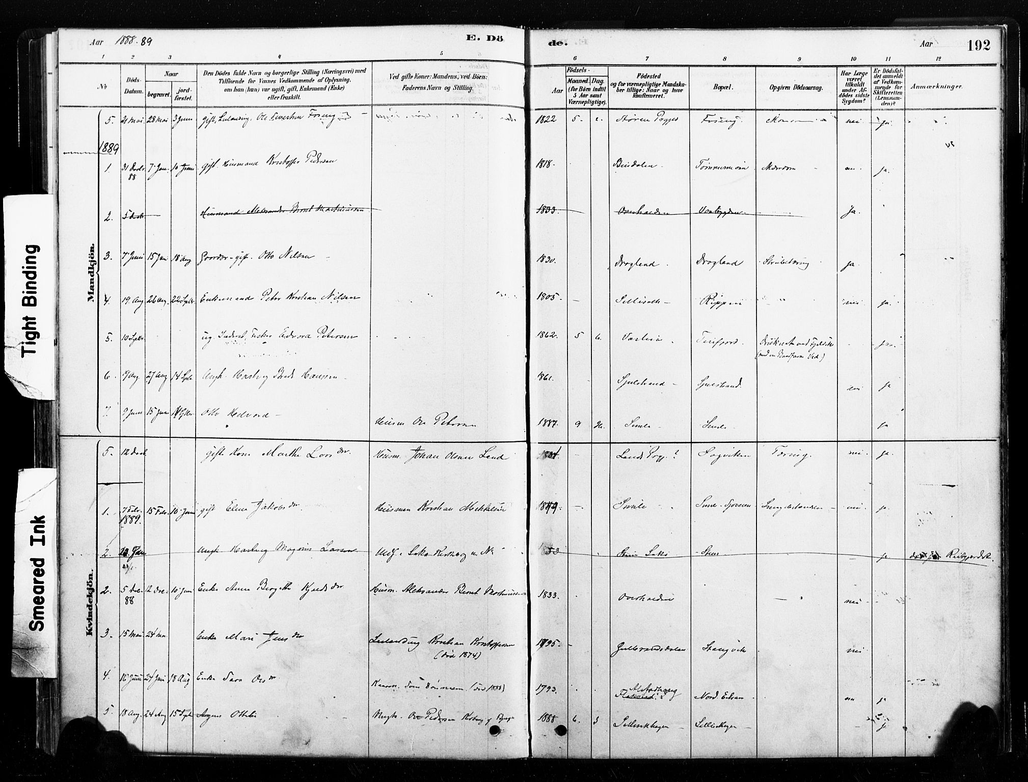 Ministerialprotokoller, klokkerbøker og fødselsregistre - Nord-Trøndelag, SAT/A-1458/789/L0705: Ministerialbok nr. 789A01, 1878-1910, s. 192