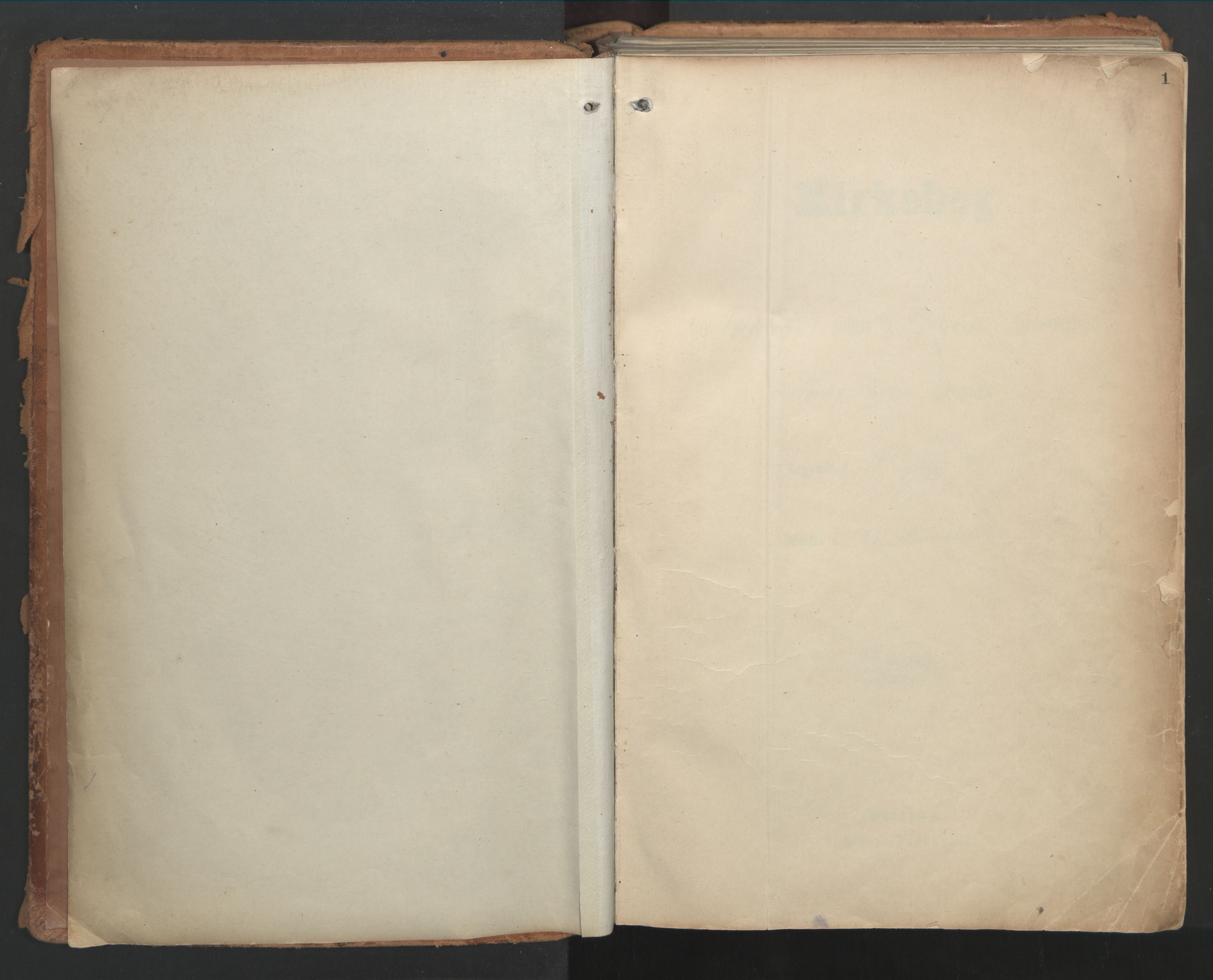 Ministerialprotokoller, klokkerbøker og fødselsregistre - Nordland, AV/SAT-A-1459/861/L0871: Ministerialbok nr. 861A06, 1903-1916, s. 1