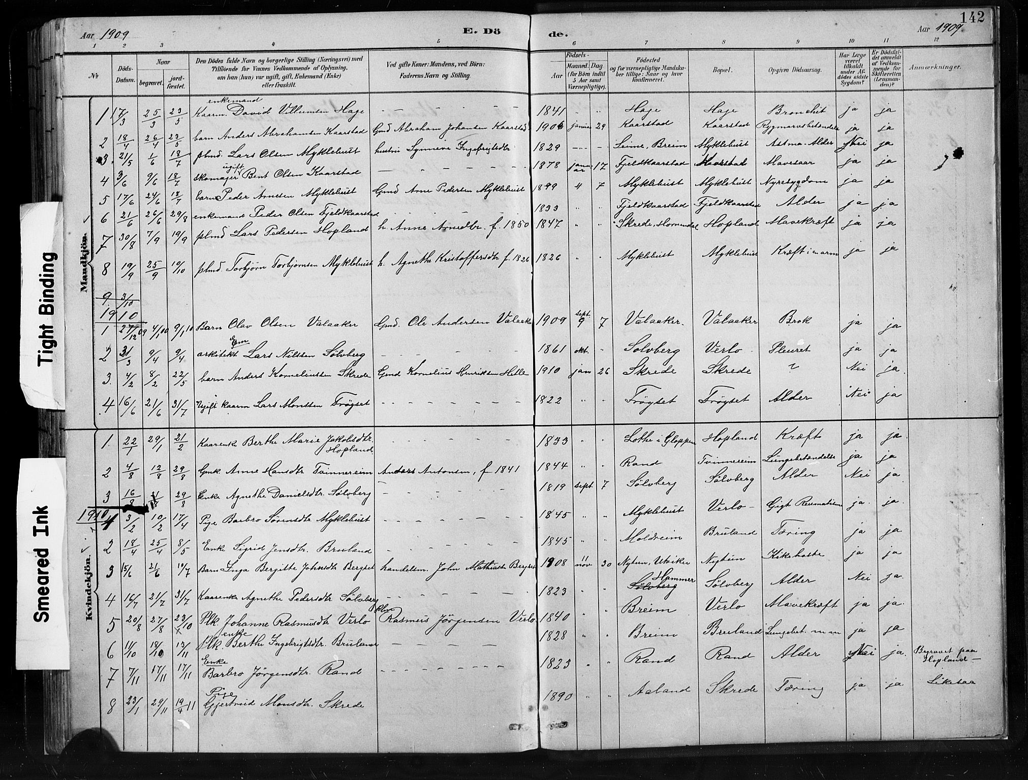Innvik sokneprestembete, AV/SAB-A-80501: Klokkerbok nr. C 3, 1883-1911, s. 142