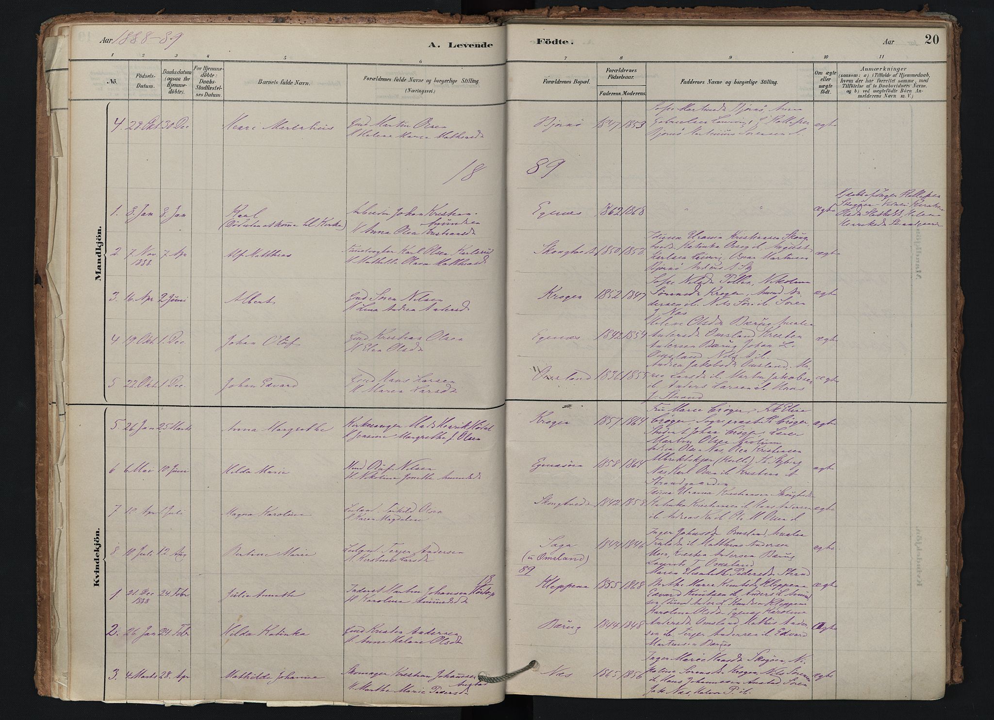 Brunlanes kirkebøker, SAKO/A-342/F/Fd/L0001: Ministerialbok nr. IV 1, 1878-1917, s. 20