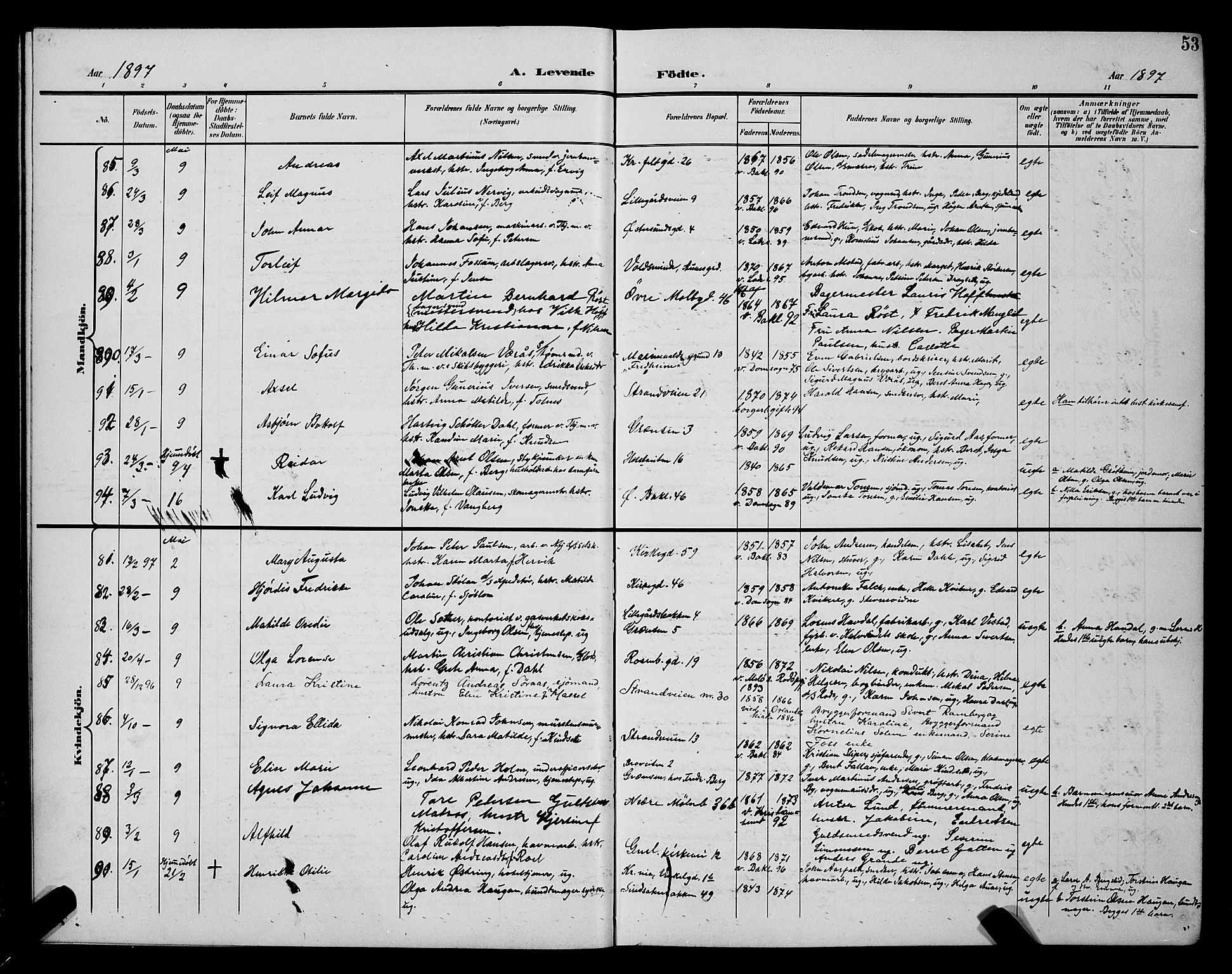 Ministerialprotokoller, klokkerbøker og fødselsregistre - Sør-Trøndelag, AV/SAT-A-1456/604/L0225: Klokkerbok nr. 604C08, 1895-1899, s. 53