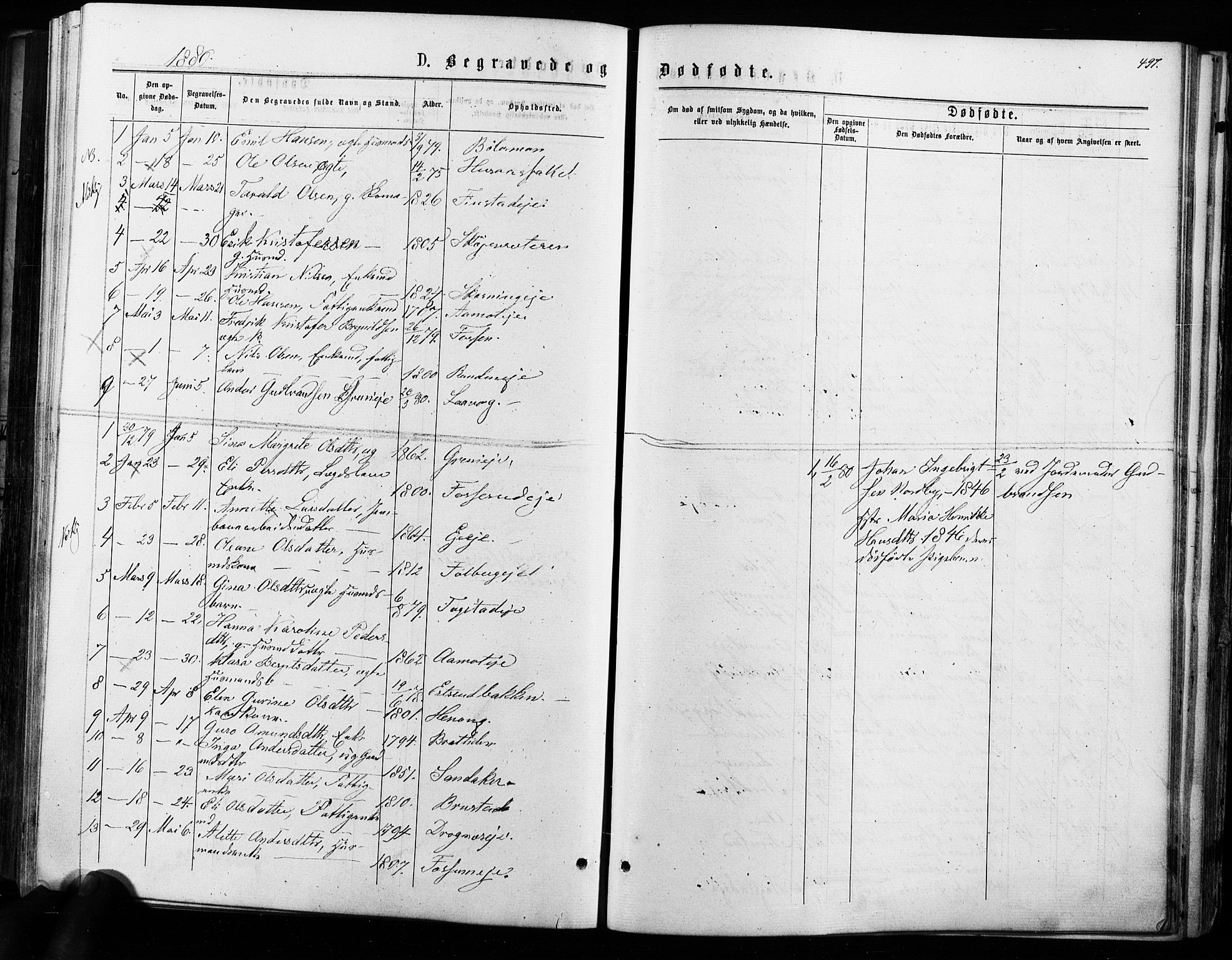 Nes prestekontor Kirkebøker, AV/SAO-A-10410/F/Fa/L0009: Ministerialbok nr. I 9, 1875-1882, s. 497