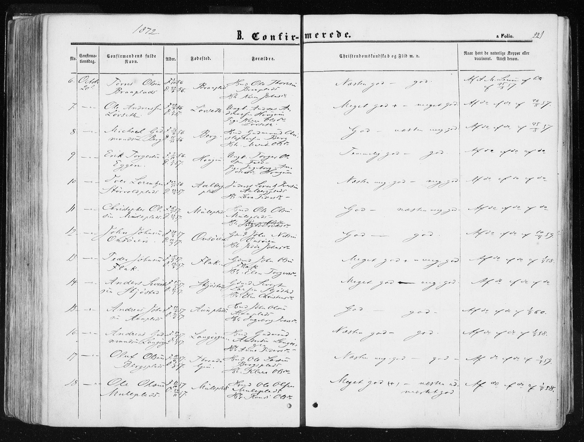 Ministerialprotokoller, klokkerbøker og fødselsregistre - Sør-Trøndelag, AV/SAT-A-1456/612/L0377: Ministerialbok nr. 612A09, 1859-1877, s. 221
