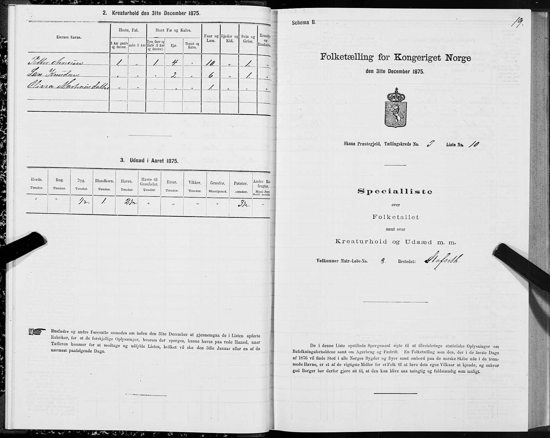 SAT, Folketelling 1875 for 1529P Skodje prestegjeld, 1875, s. 2019