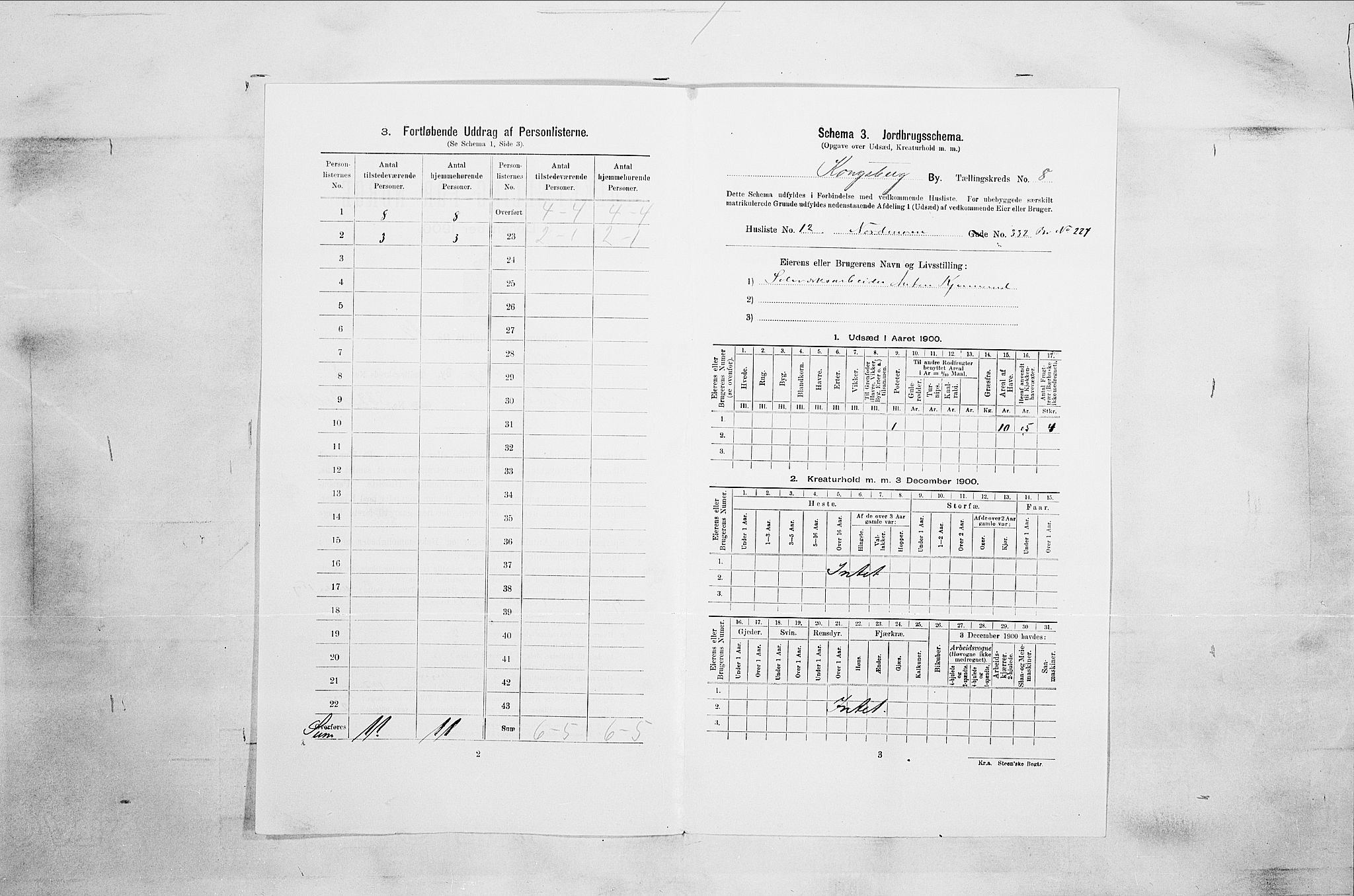 RA, Folketelling 1900 for 0604 Kongsberg kjøpstad, 1900, s. 4995