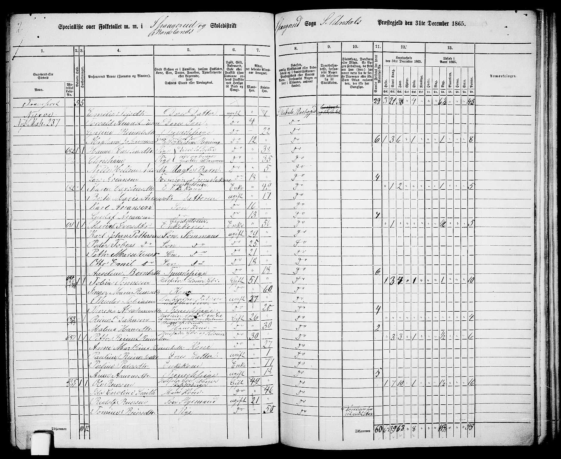 RA, Folketelling 1865 for 1029P Sør-Audnedal prestegjeld, 1865, s. 162