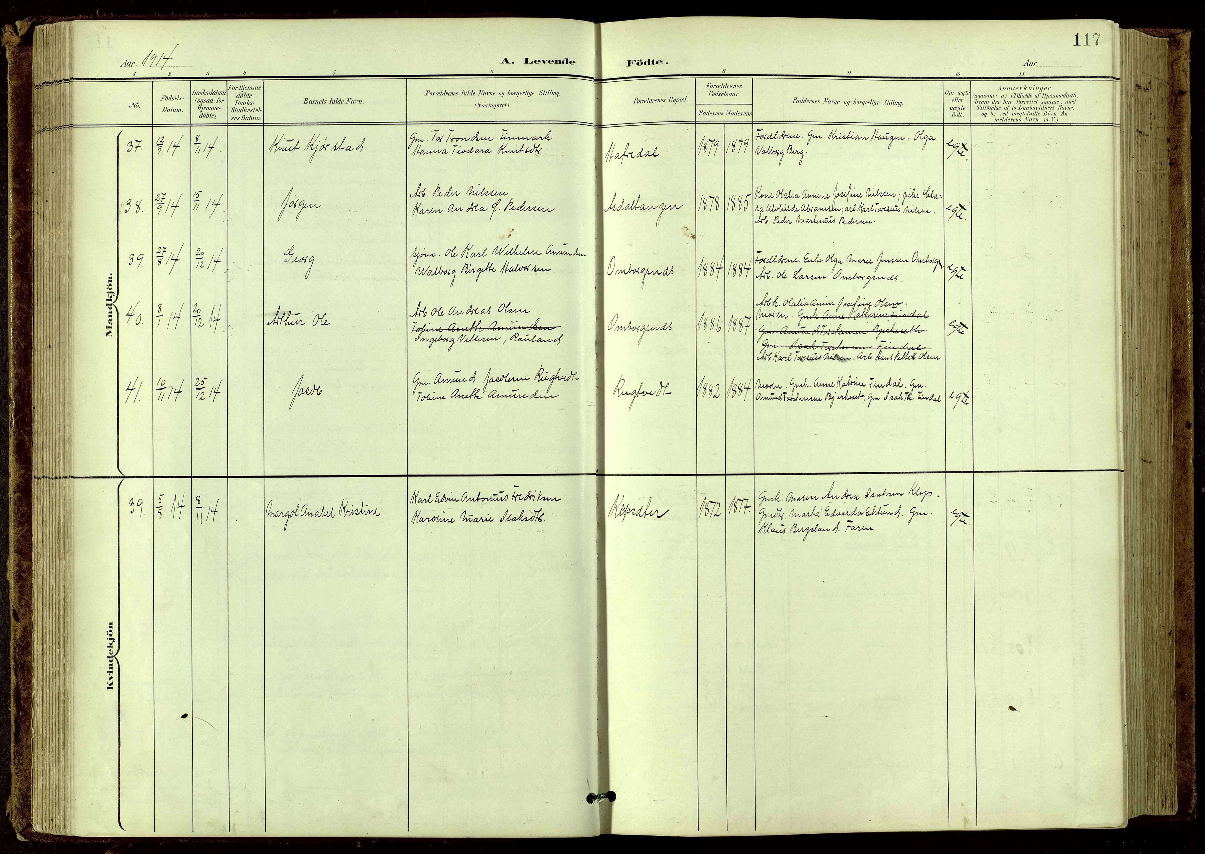 Bamble kirkebøker, SAKO/A-253/G/Ga/L0010: Klokkerbok nr. I 10, 1901-1919, s. 117